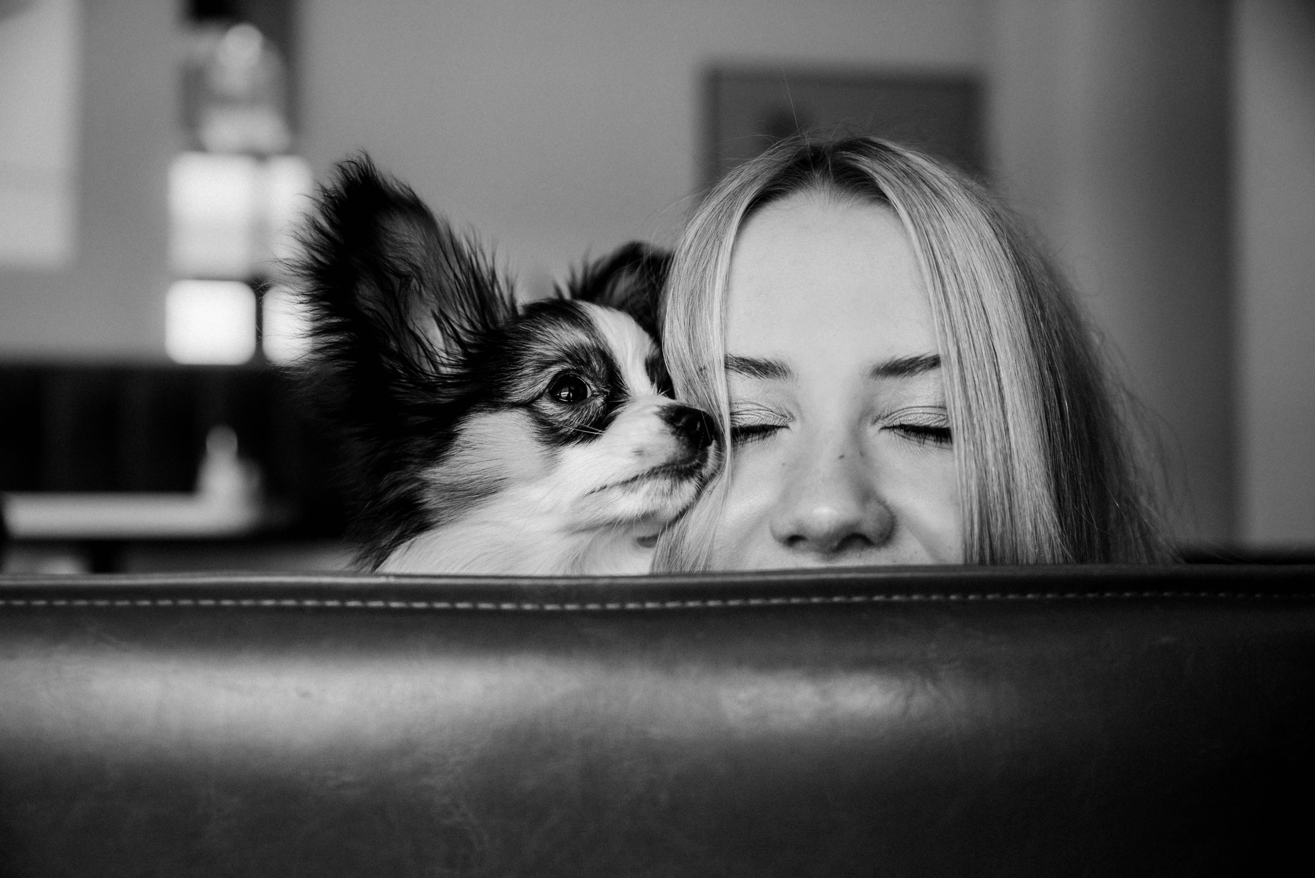 Настя, Света и Папийон Луней. Главная