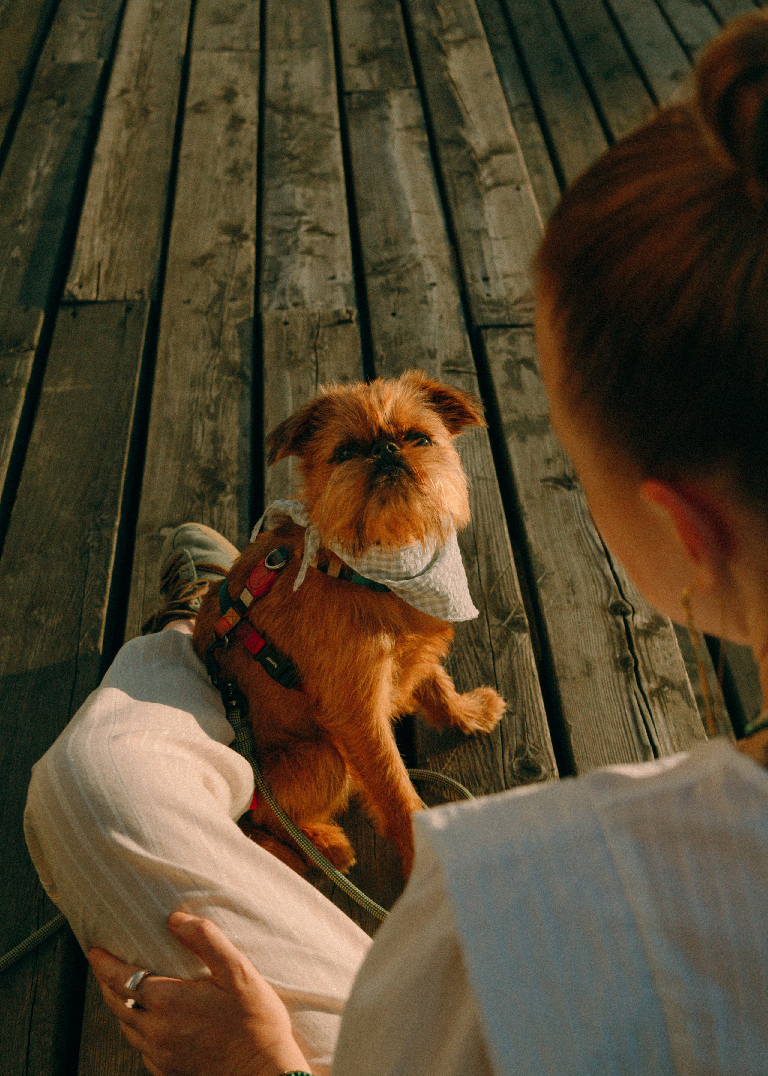 Лена и Альфи. Фотограф-анималист Ксения Воробьева, Москва