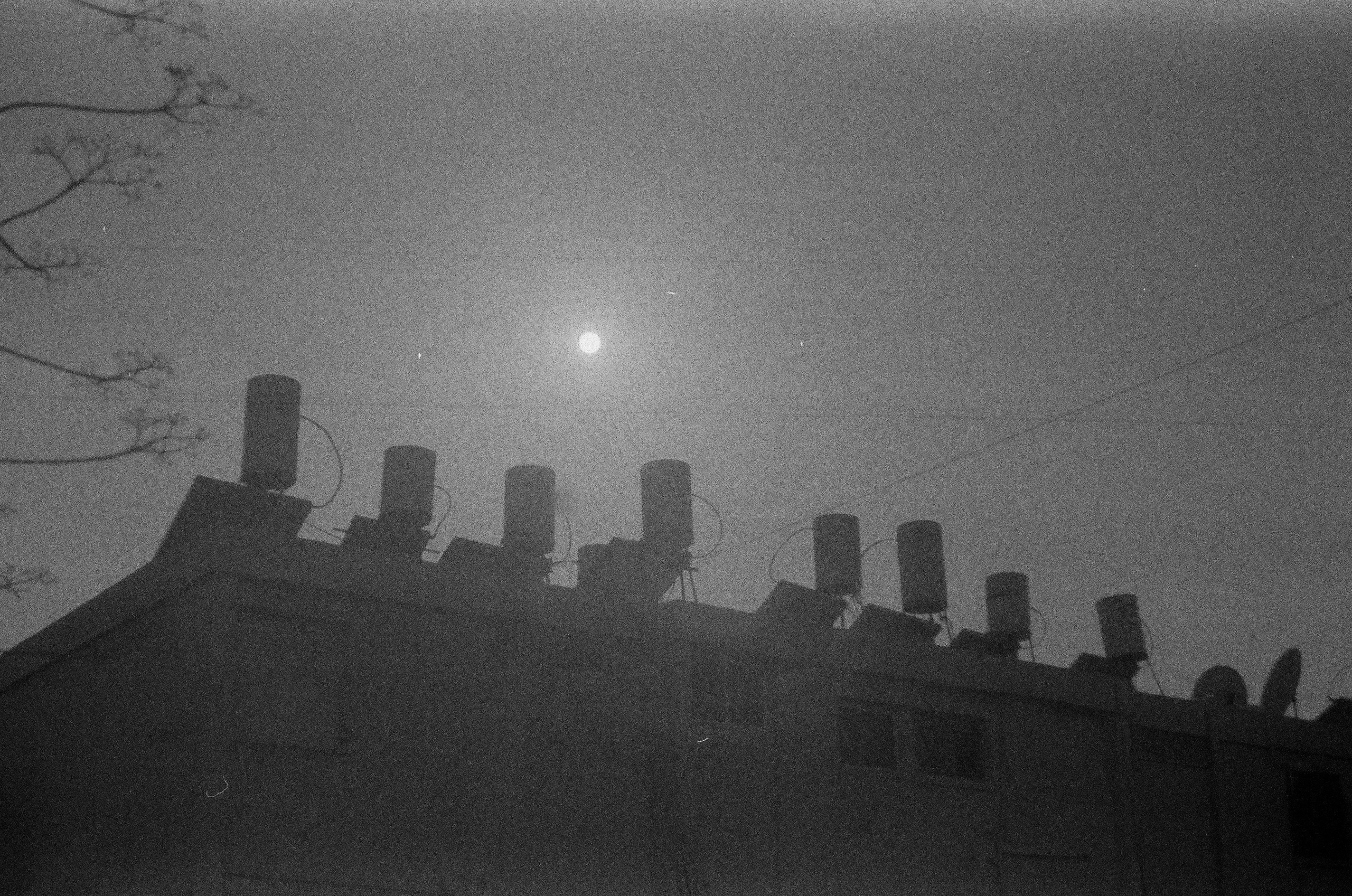 Israel 2025. Свадебный и портретный фотограф в Санкт-Петербурге