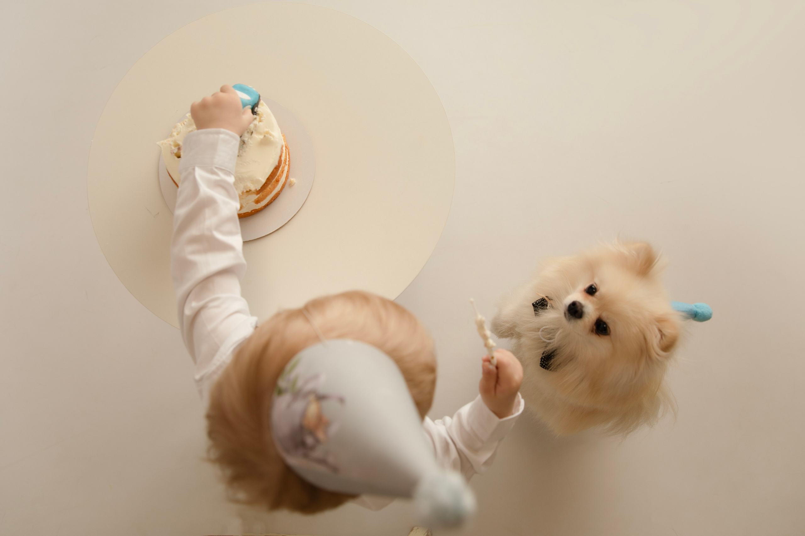 Фотосессия малыша и собаки. Фотограф новорожденных, детский фотограф  Москва.Семейная съемка Москва. Семенова Анна