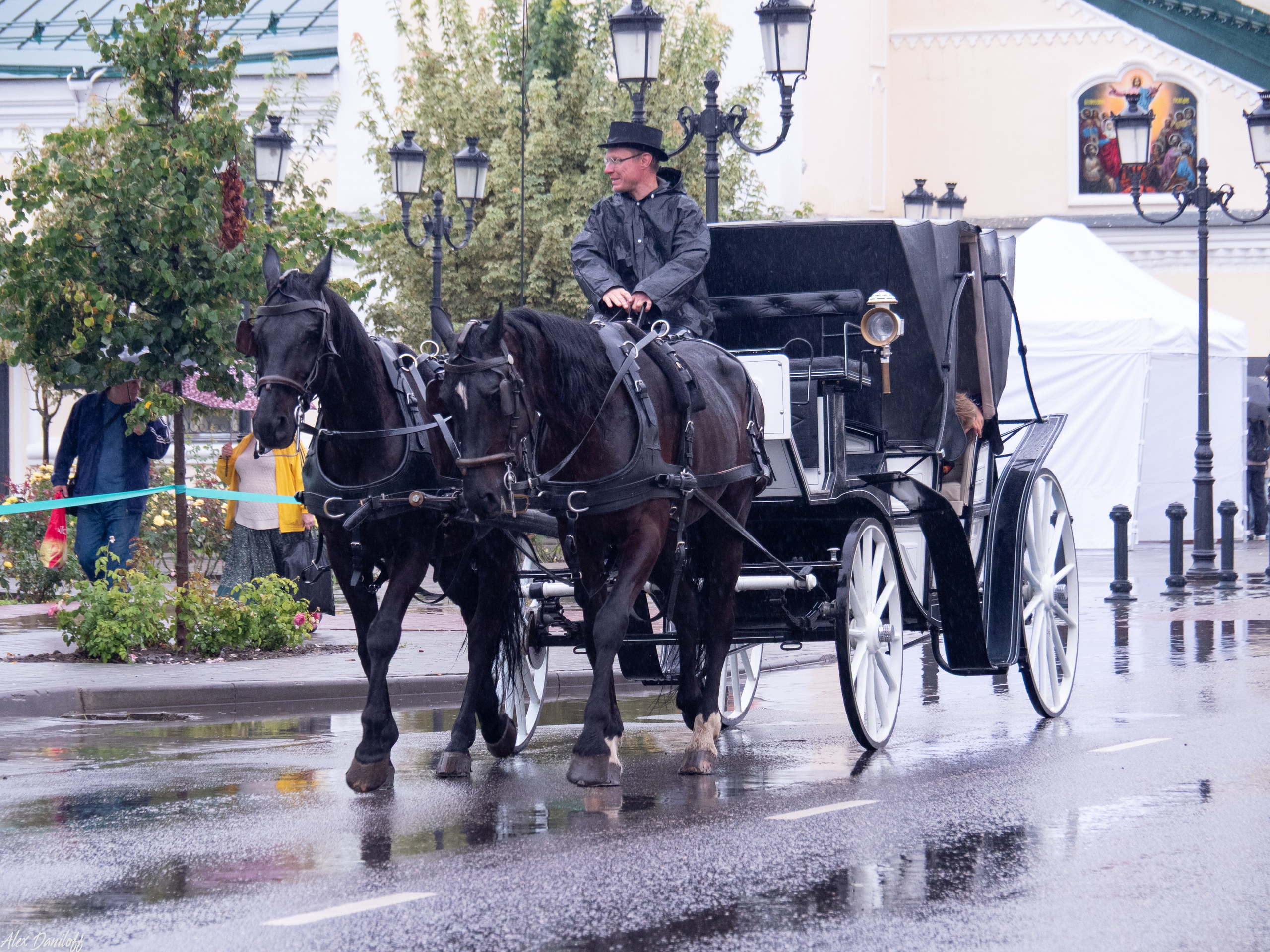 День города Муром 2025. Муром-Инфо. Новости культуры, образования, спорта в городе Муром