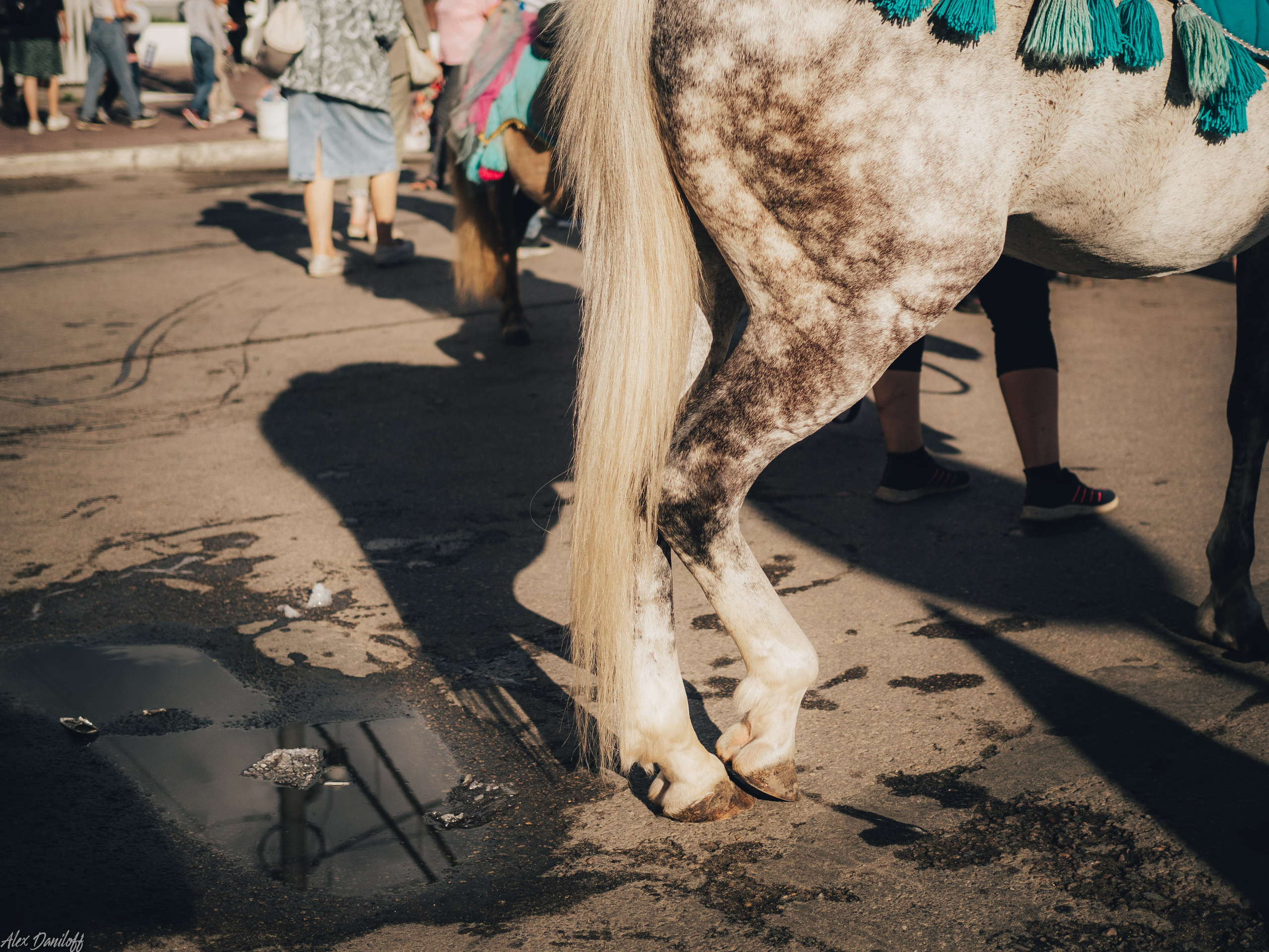 День города. Муром. 2024. Муром-Инфо. Новости культуры, образования, спорта в городе Муром