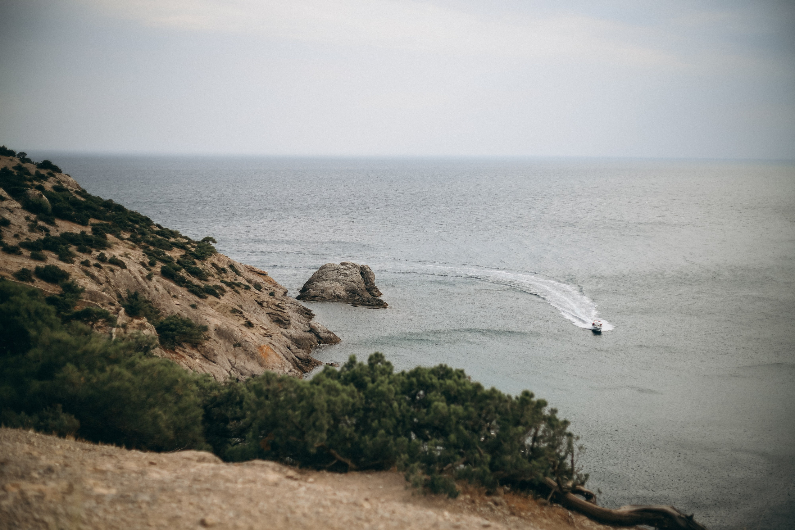 Миронюк. Photo by Tolmacheva | Crimea