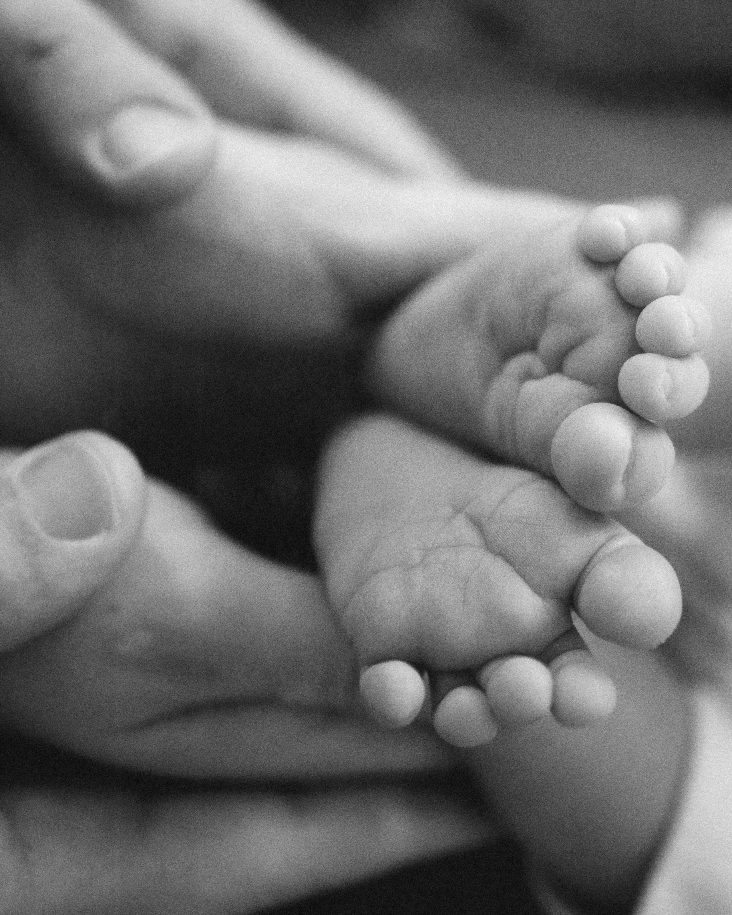 Ванечка. SHILOVA PHOTO. Шилова Екатерина. Фотограф. Москва