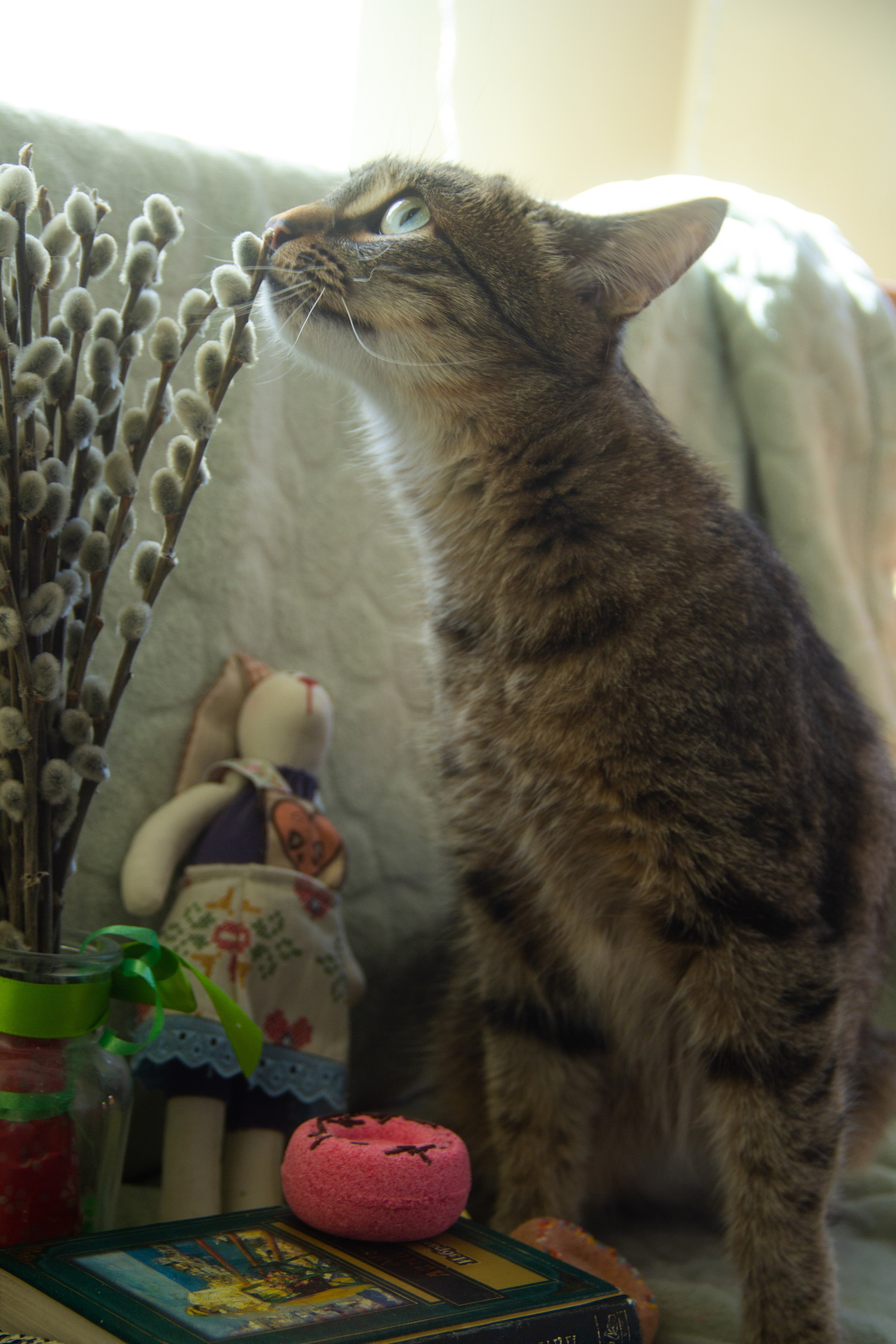 Фотоволонтер