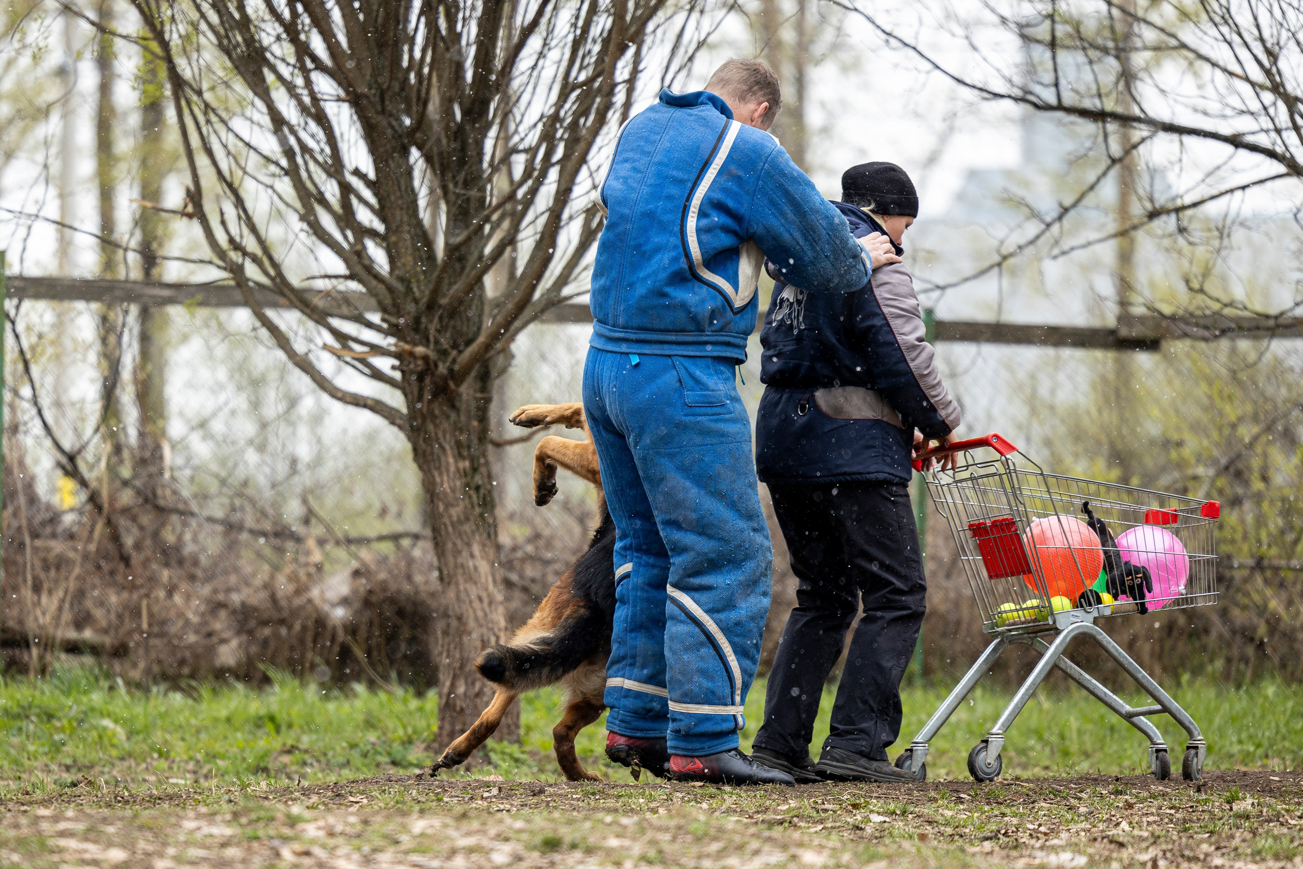 Квалификационные состязания по мондьорингу г. Вологда 11.05.24. Фотограф-анималист Анна Маринич