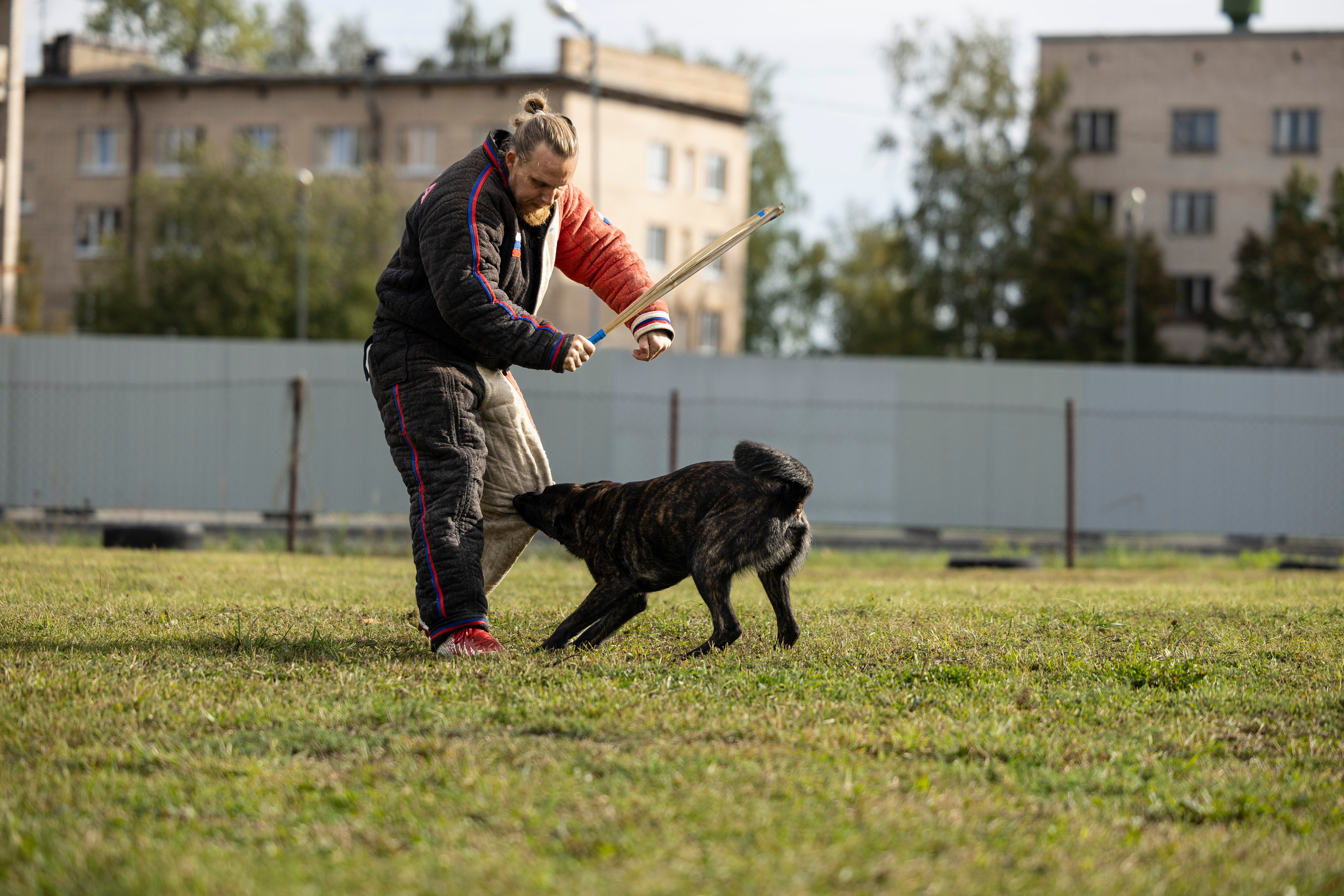 Испытания по Мондьорингу г. Пушкин. Фотограф-анималист Анна Маринич