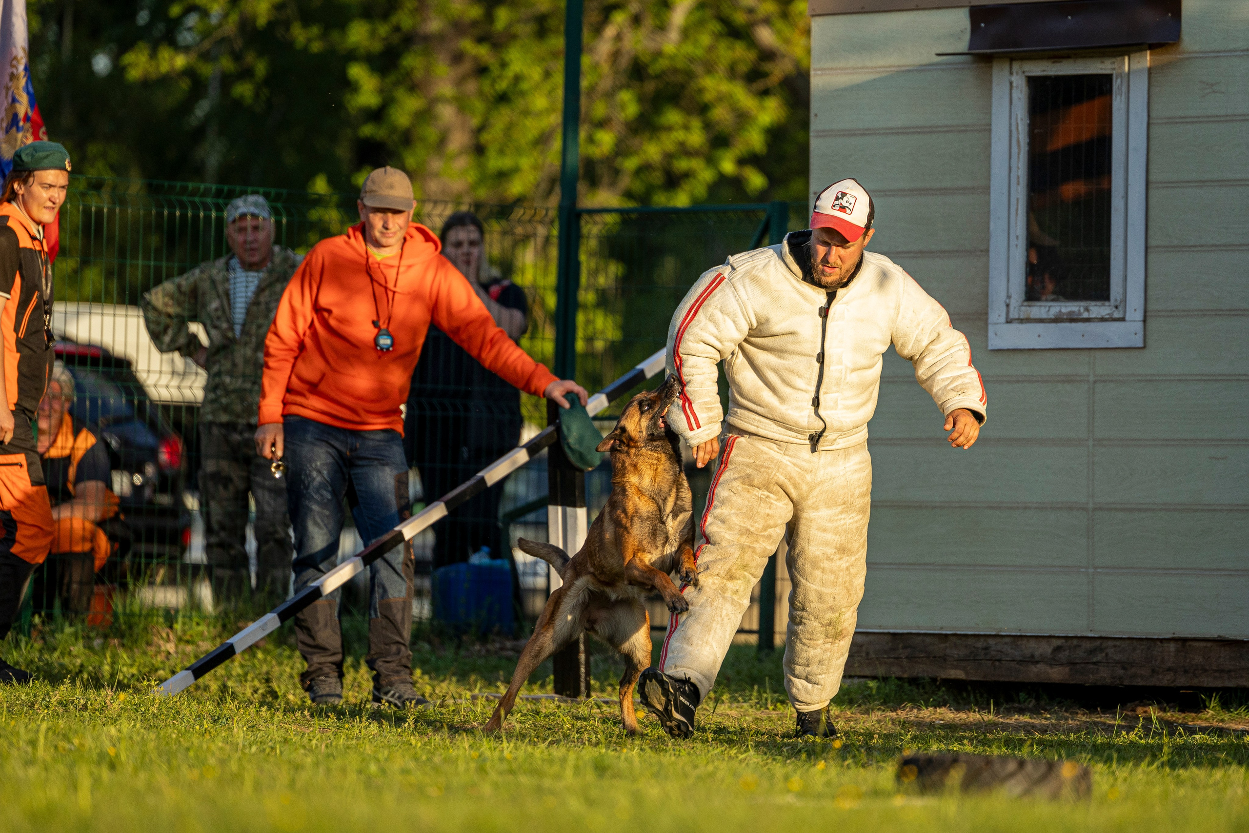 Испытания по мондьорингу в Нижнем Новгороде. Фотограф-анималист Анна Маринич