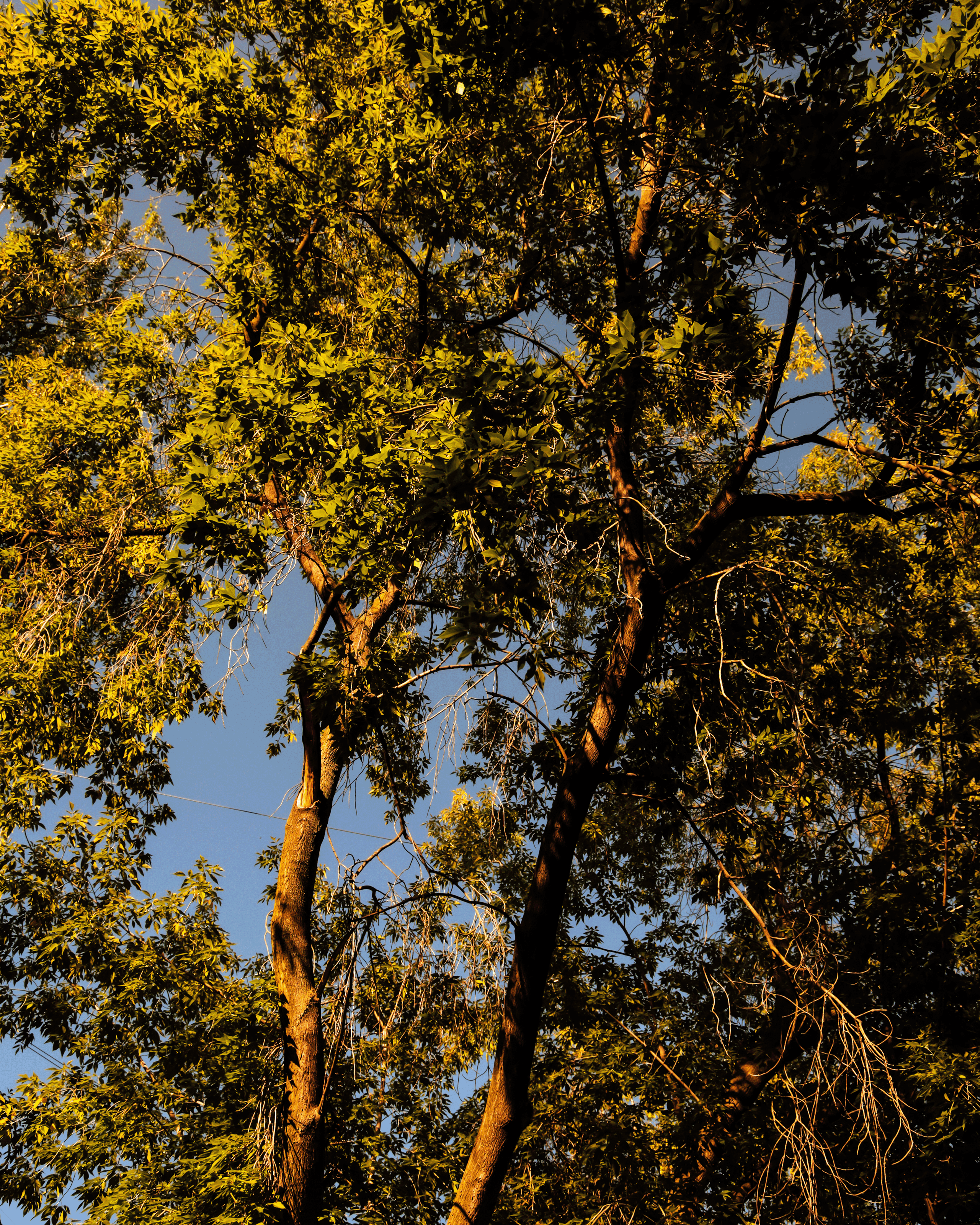 Summertime. Фотограф/дизайнер в Екатеринбурге Хитрый Дмитрий