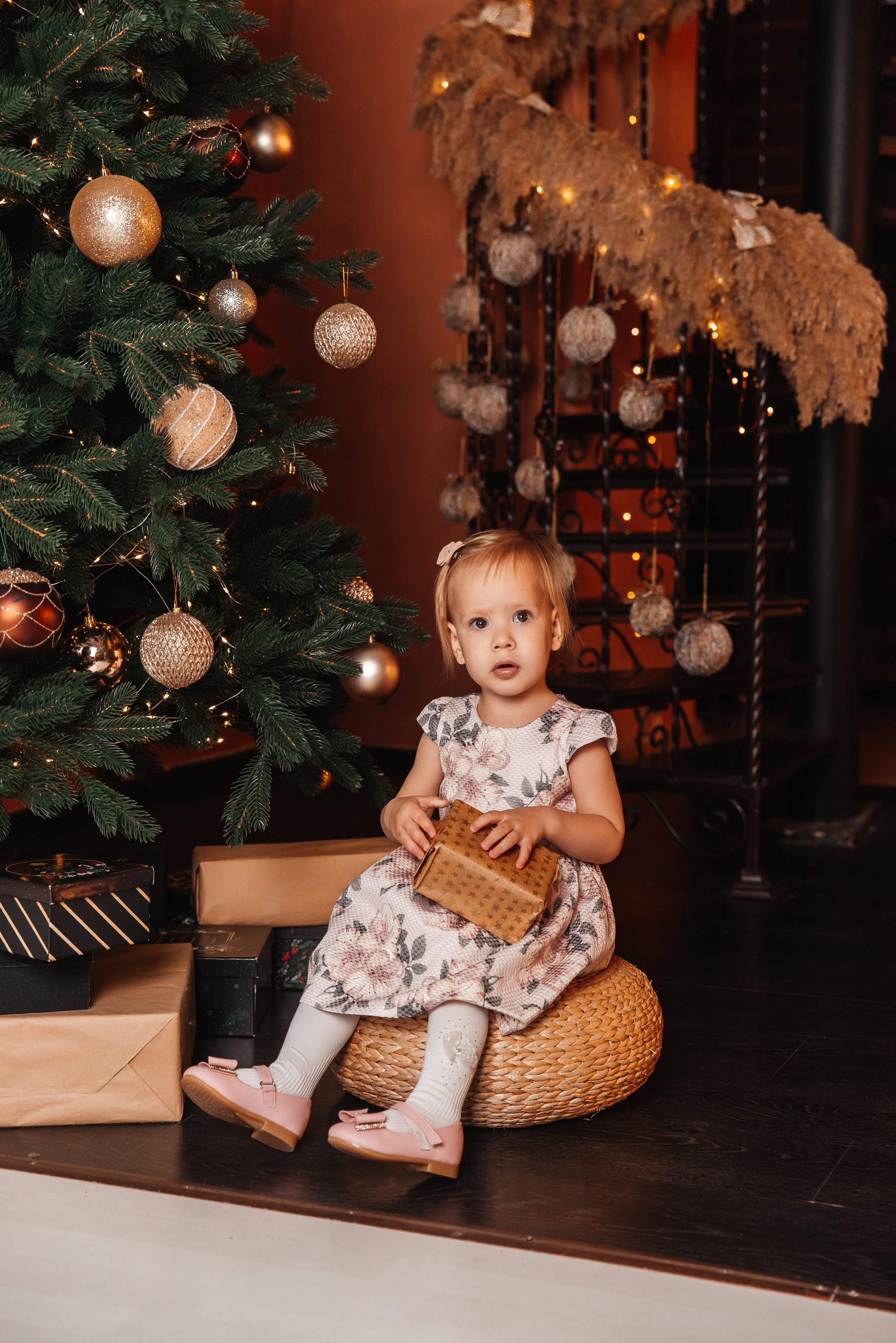 Новый год. Фотограф Дарья Борисова в г. Новочеркасск и РО