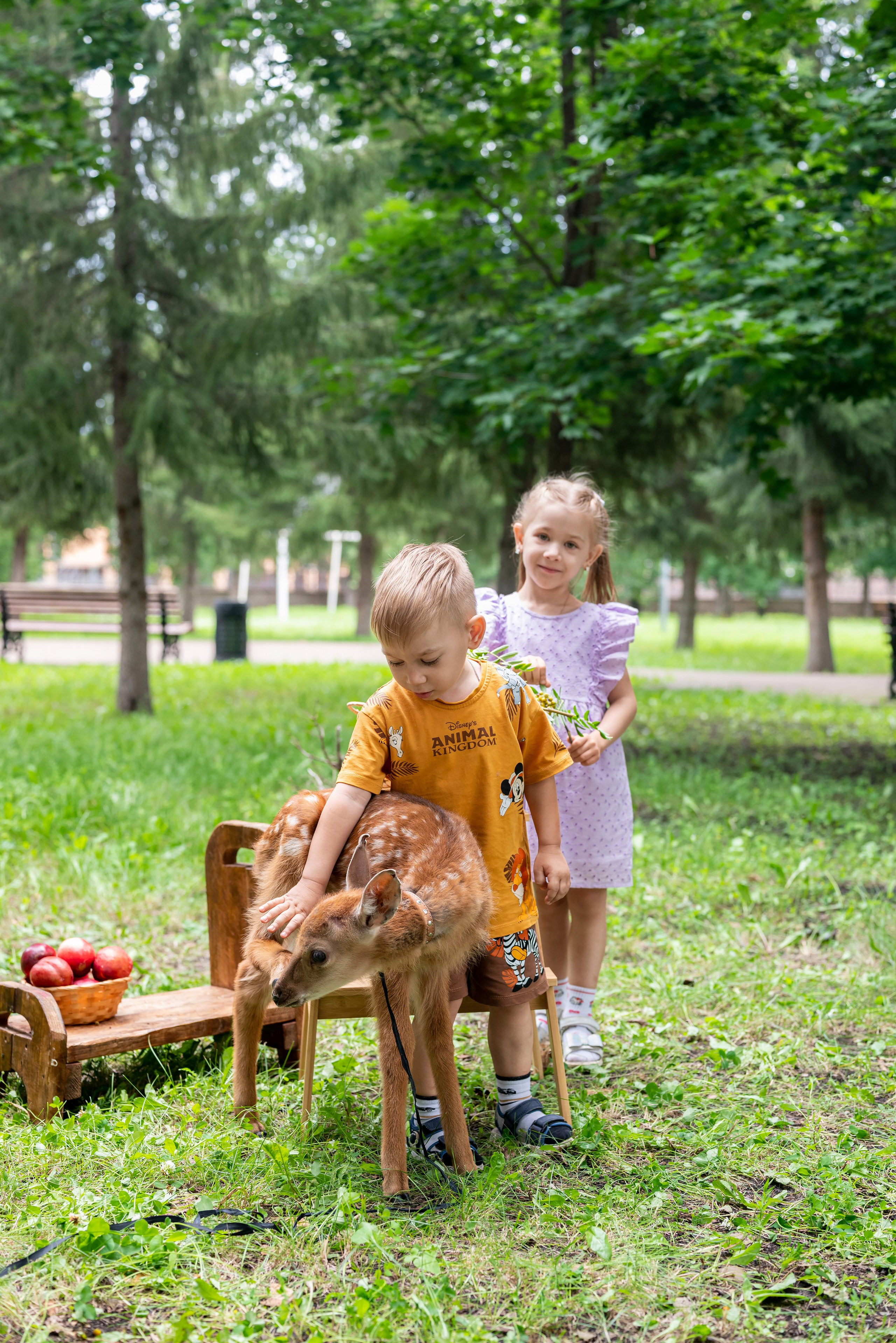 Фотопроект *Оленёнок Бэмби*. Фотограф в городе Салават