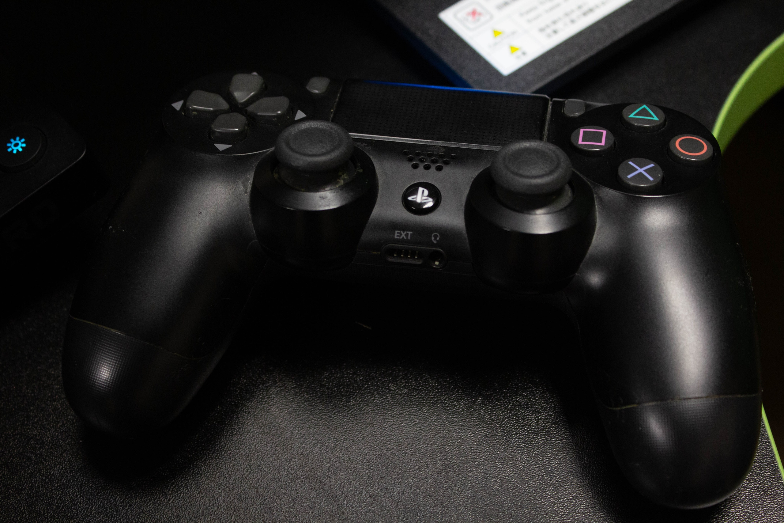 Polycup. Карпогоры, Санкт-Петербург