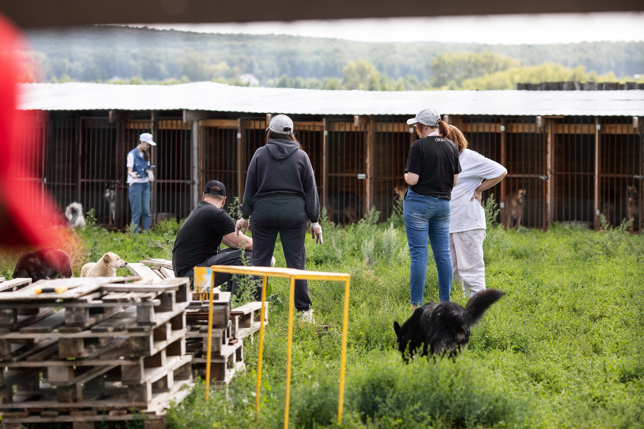 Приют — Наш дом. Репортажный и свадебный фотограф в Челябинске Елисеев Павел
