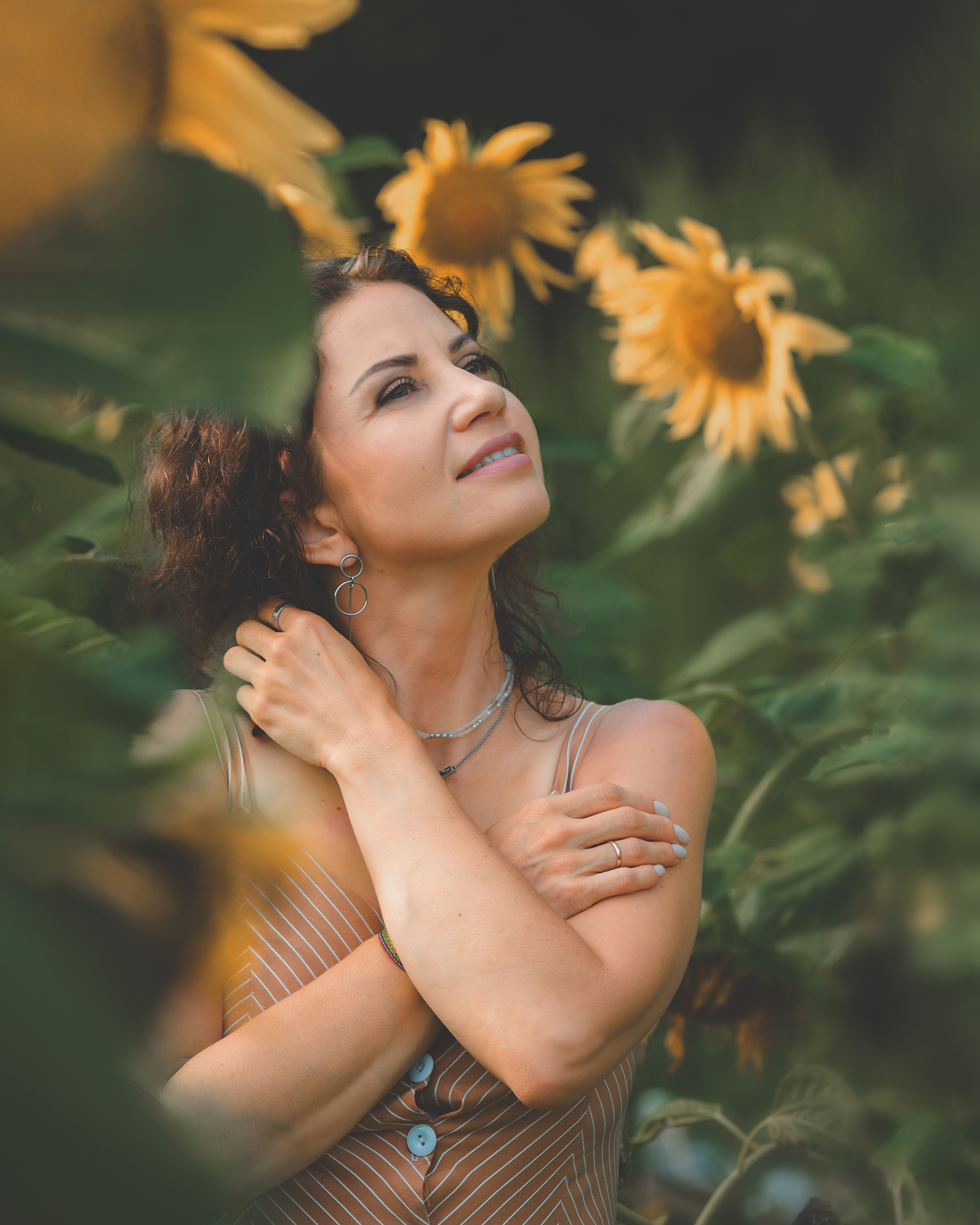 Подсолнухи. Фотограф г. Хабаровск