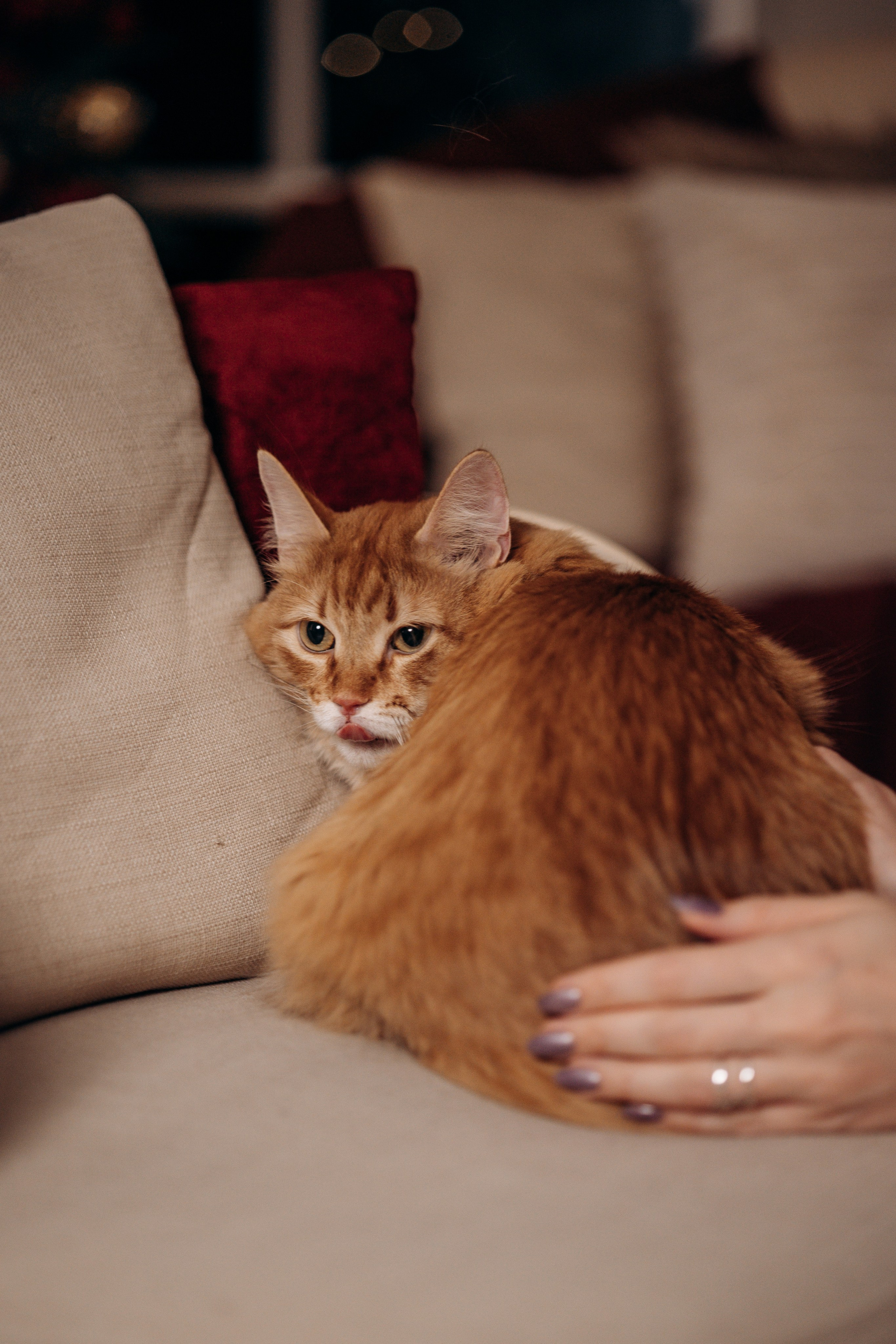 Эля и Франц. Фотограф — Анималист | Санкт-Петербург