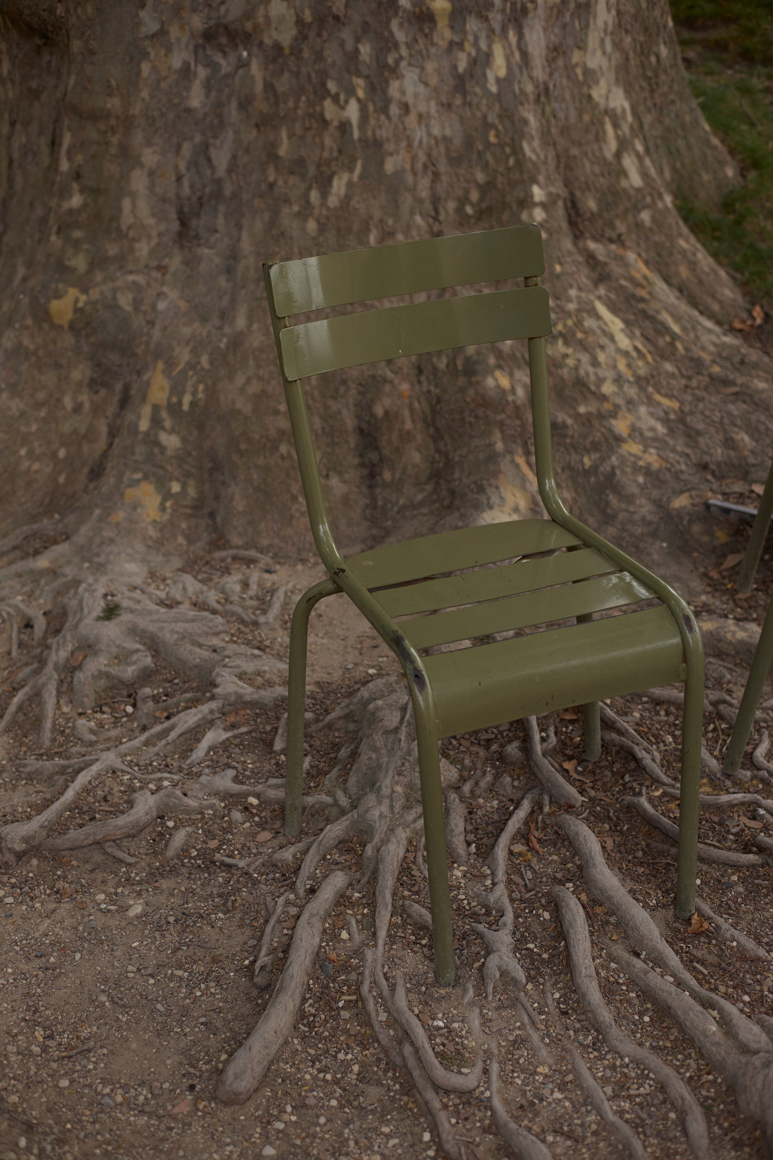 France (Provence & Paris) Sep'25. Анастасия Зобнинá — фотограф в Санкт-Петербурге/СПб