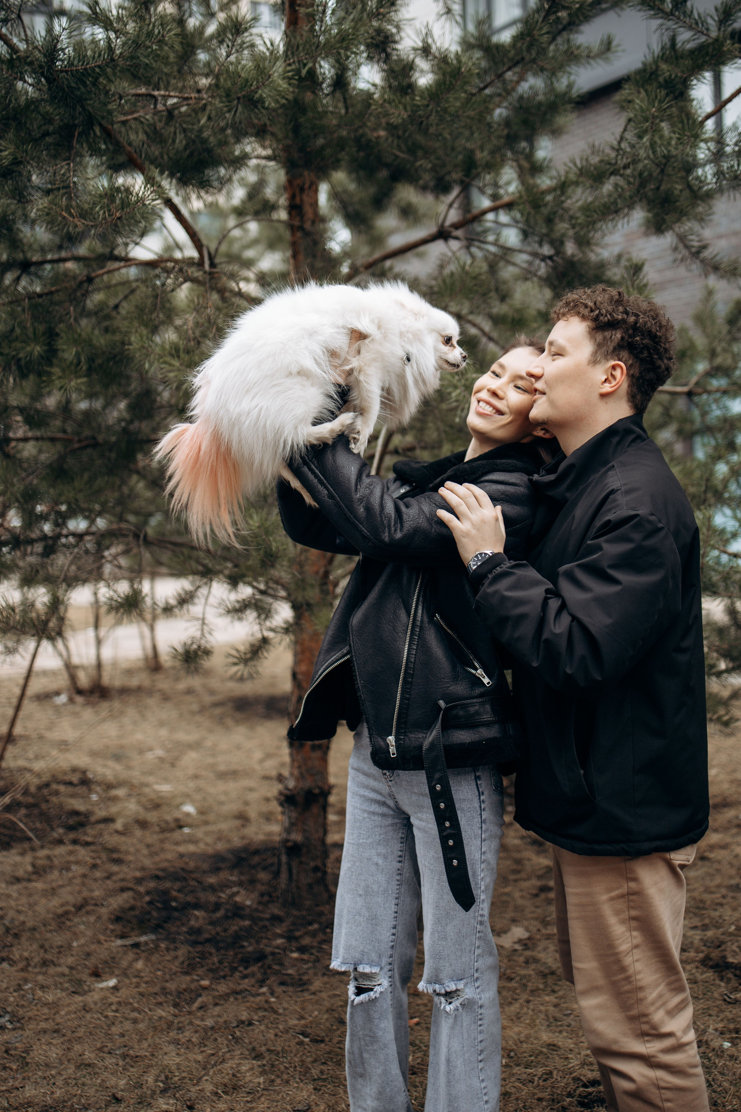 Шпиц Мася и ее семья