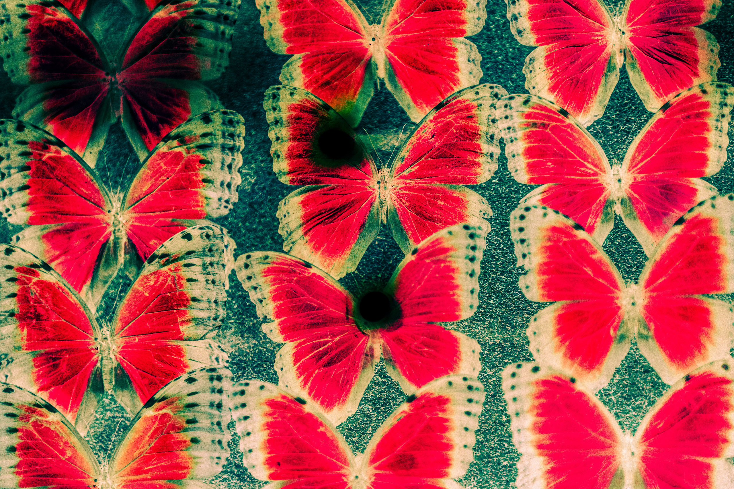 Я буду там, где вечность. Анна Полонеева фотография фотохудожник визуальная художница портреты