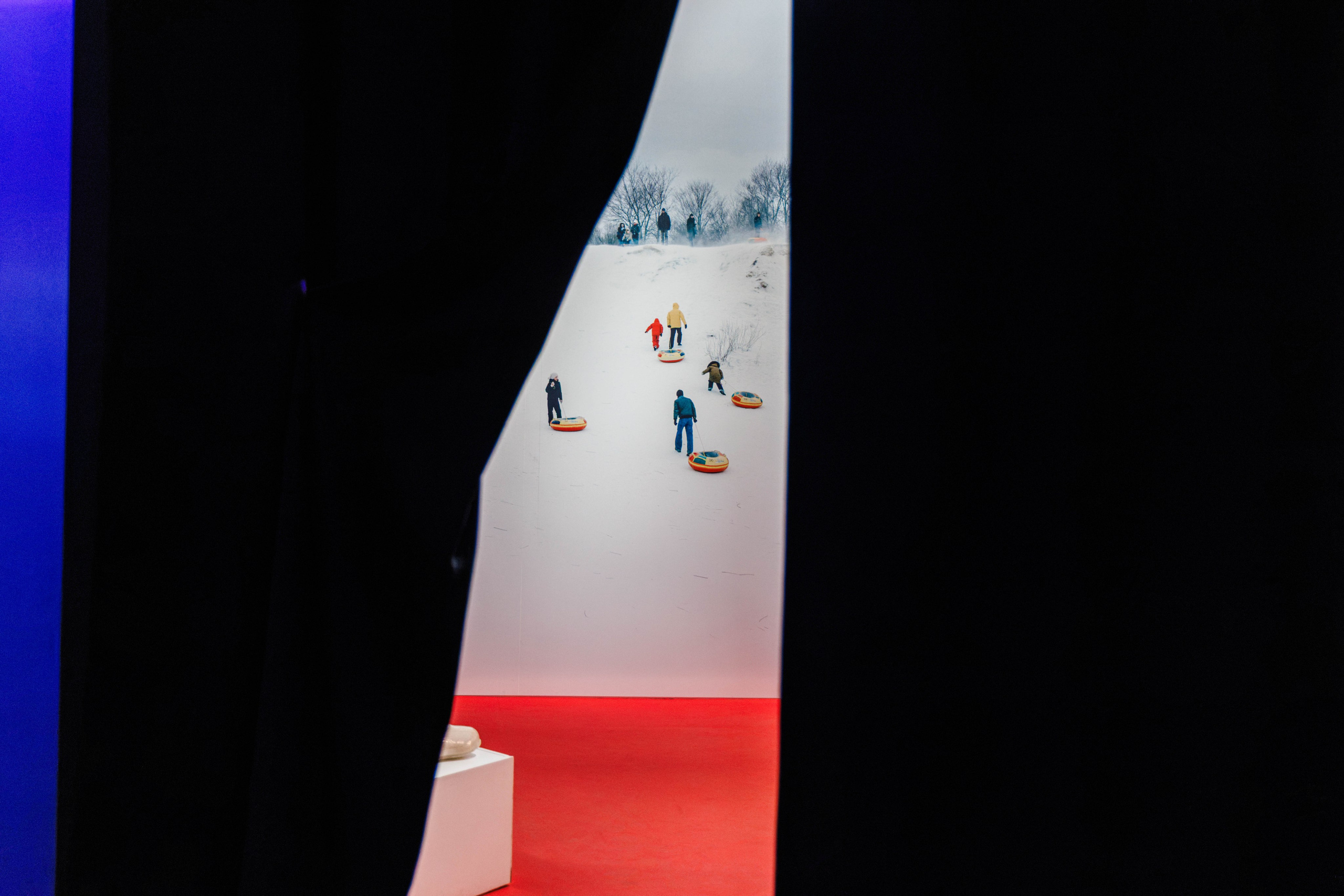 Лед. Жизнь — познавательно-развлекательная выставка. Фотограф Балаев Михаил