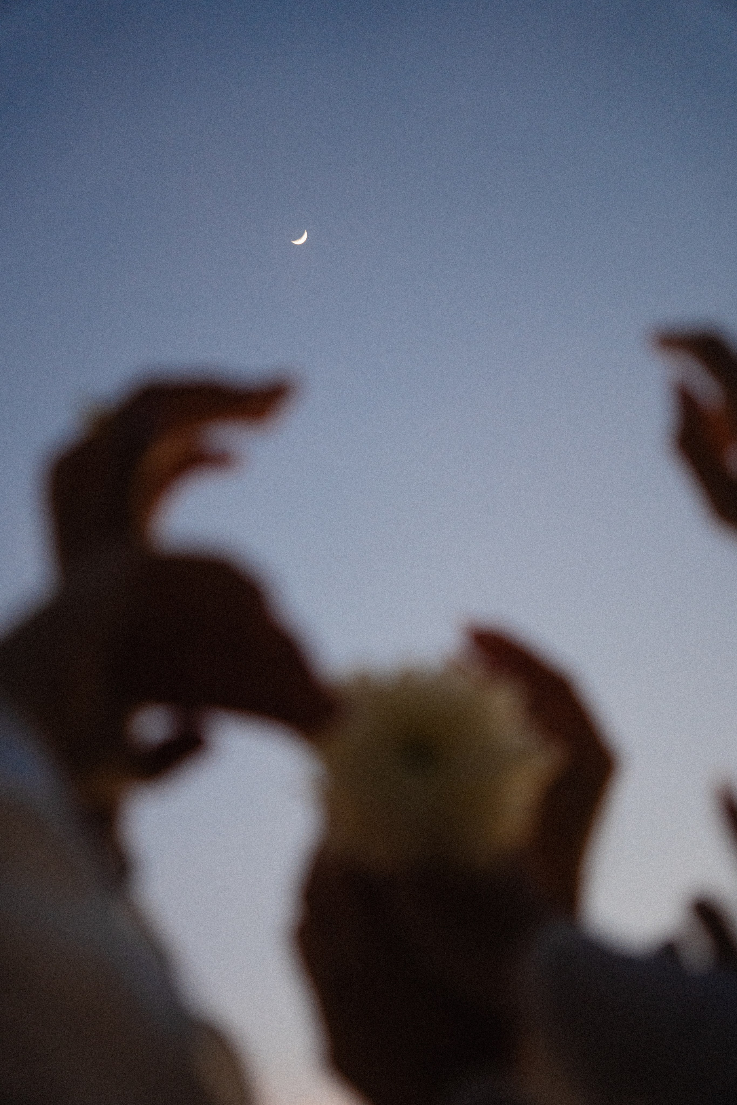 Индивидуальные съемки. PULAU LANA | photo | video | content