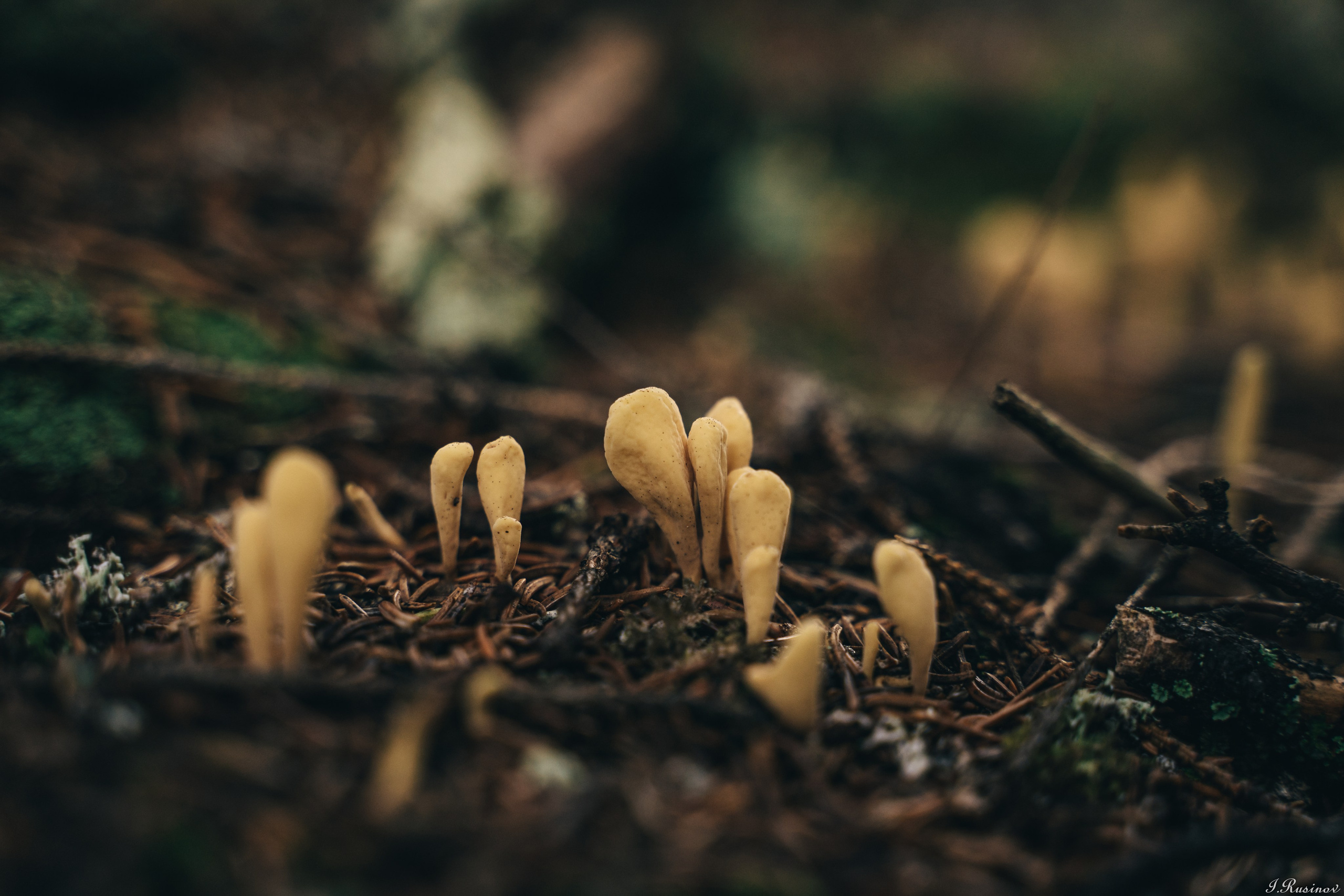 ХИБИНЫ 2021 г. Event фотограф Степанова Александра