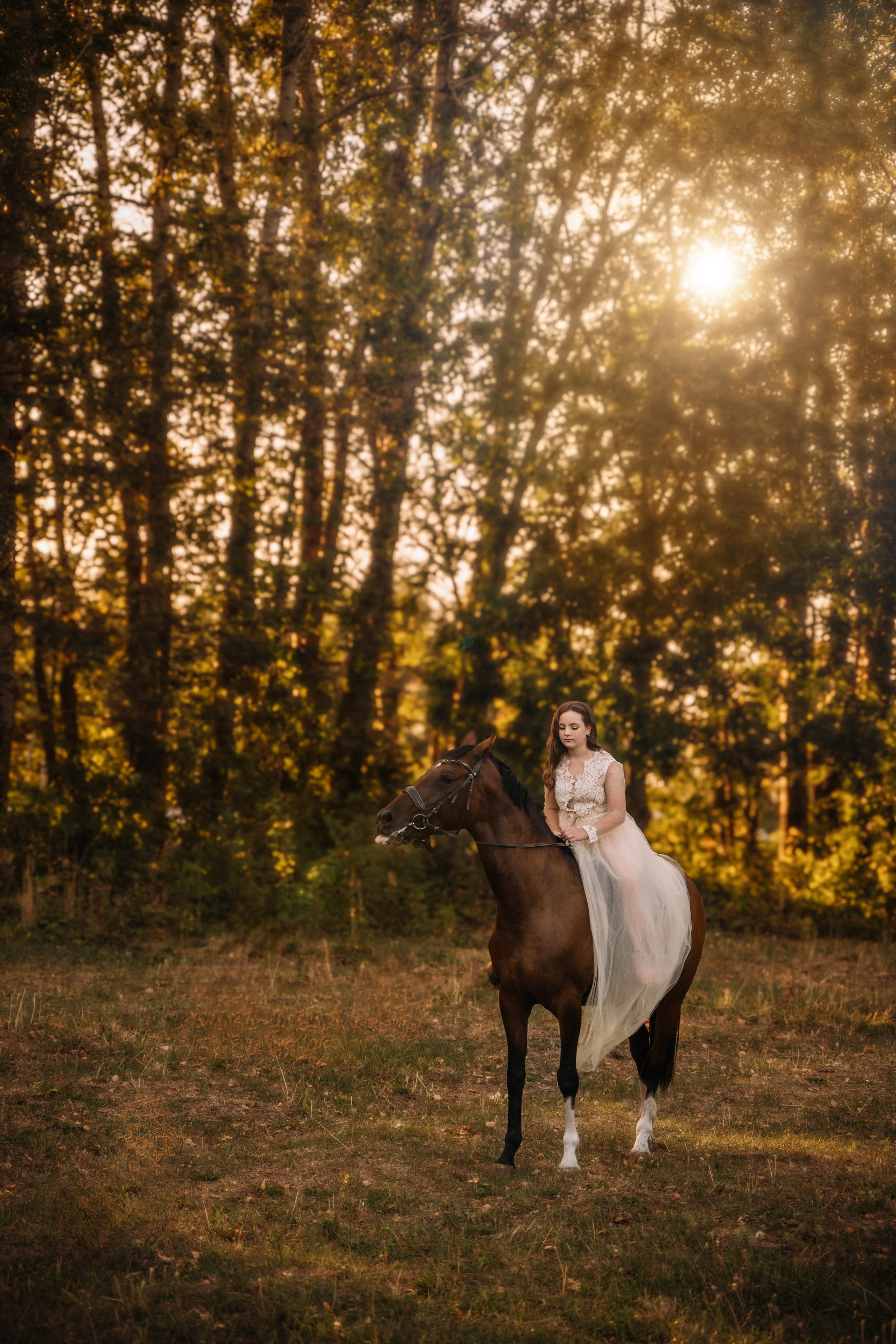 Евгения. Фотосессия с лошадьми. Семейный фотограф в Белгороде Амелина Алина