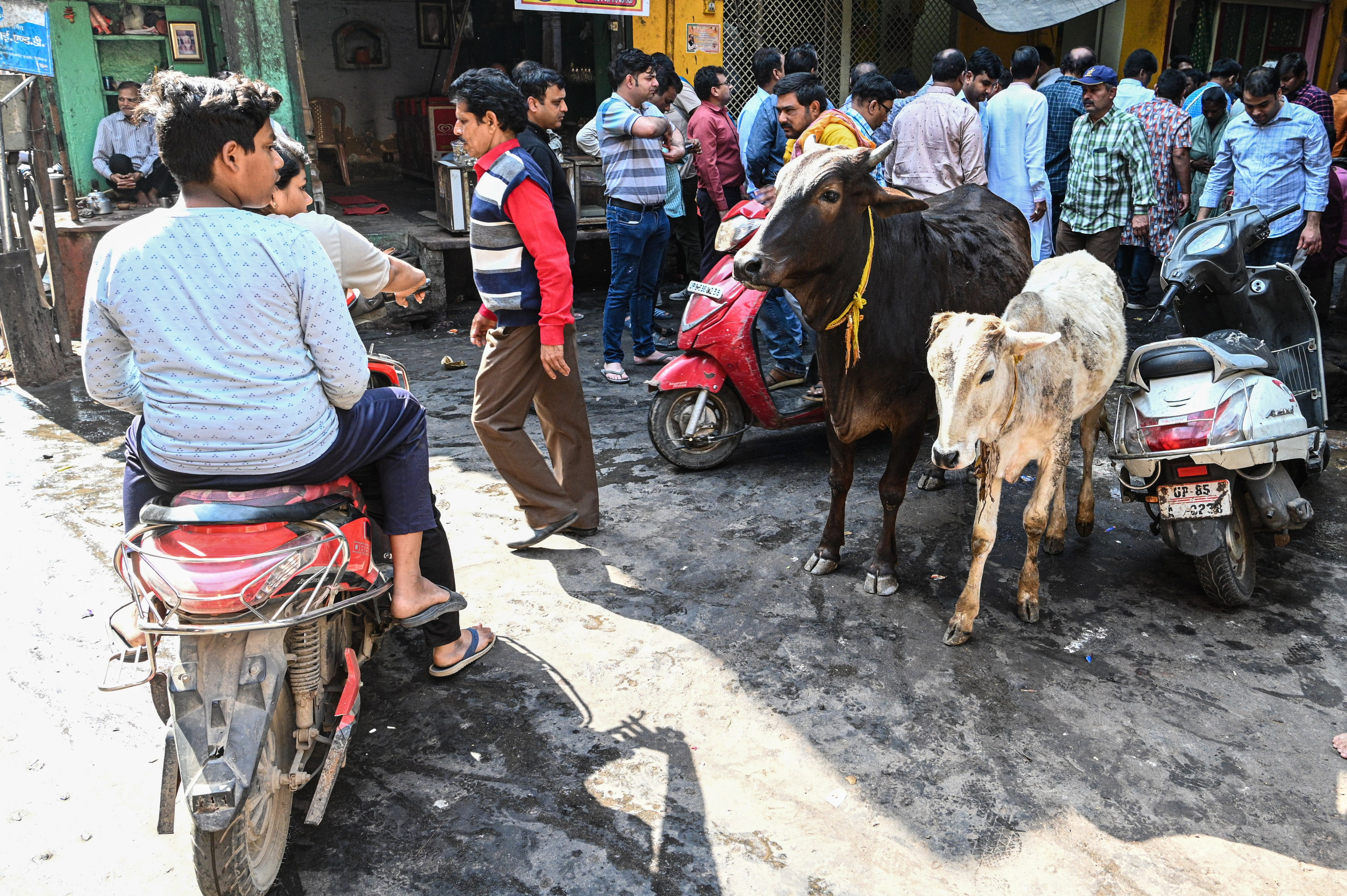 Невероятная Индия. Игорь Иванко — Репортажный и событийный фотограф. Москва
