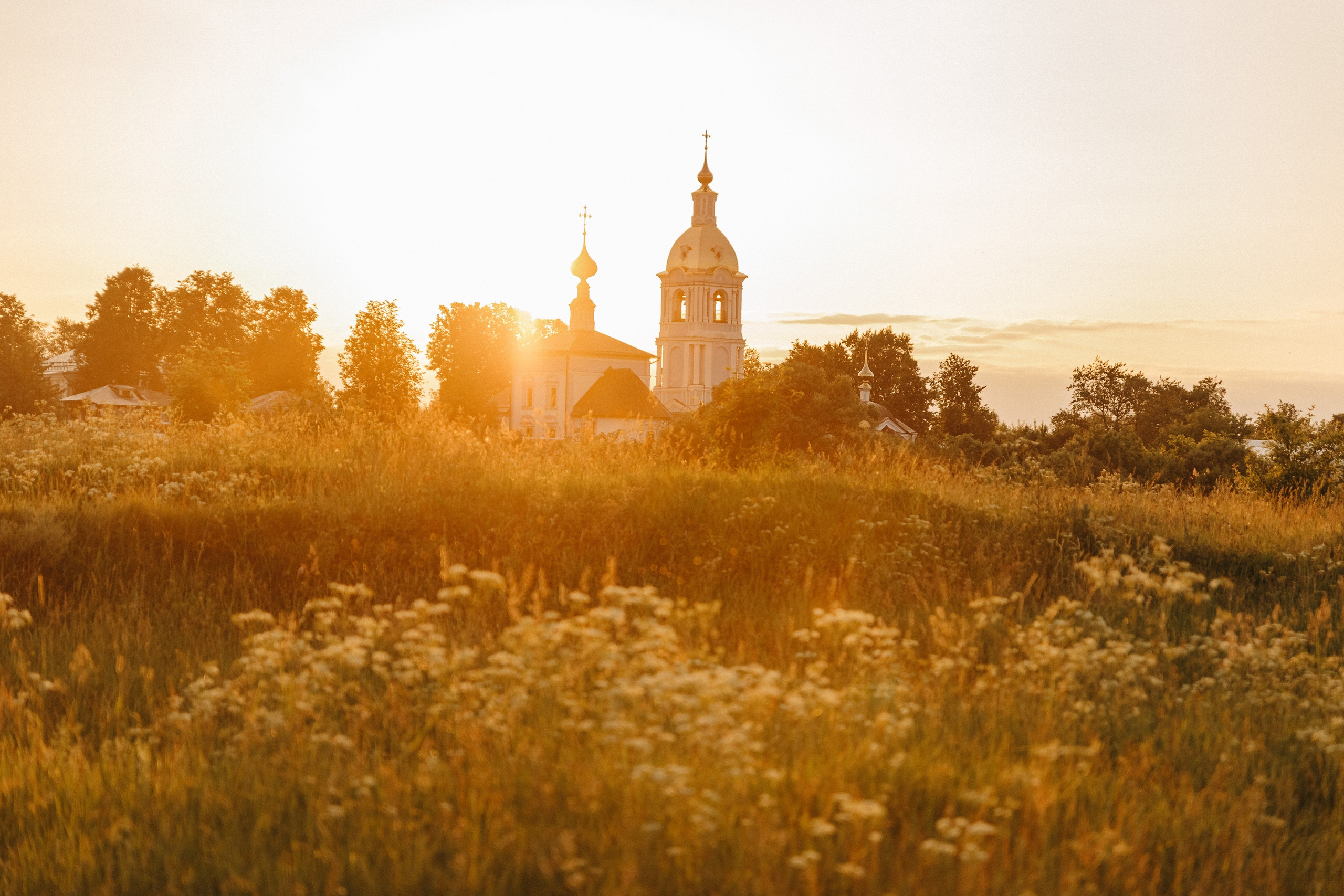 Наталья, Дмитрий, Артем, Леша и Аглая. Семейный фотограф В Москве Александра Дейкун