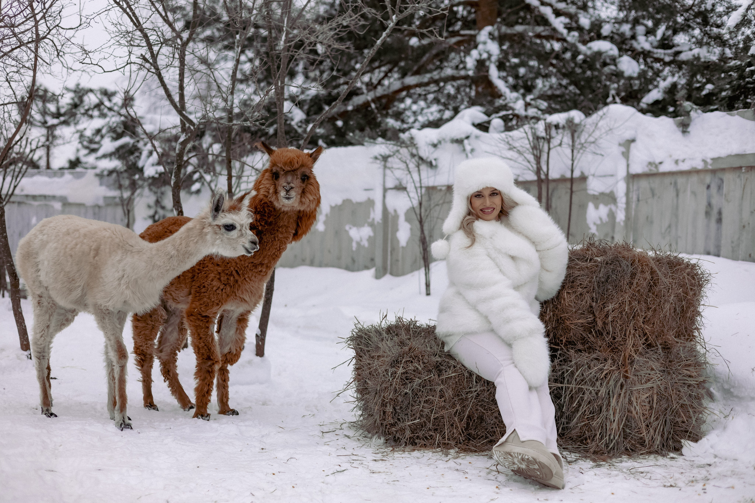 Алина. Детский и семейный фотограф Евгения Вахнеева Москва Зеленоград