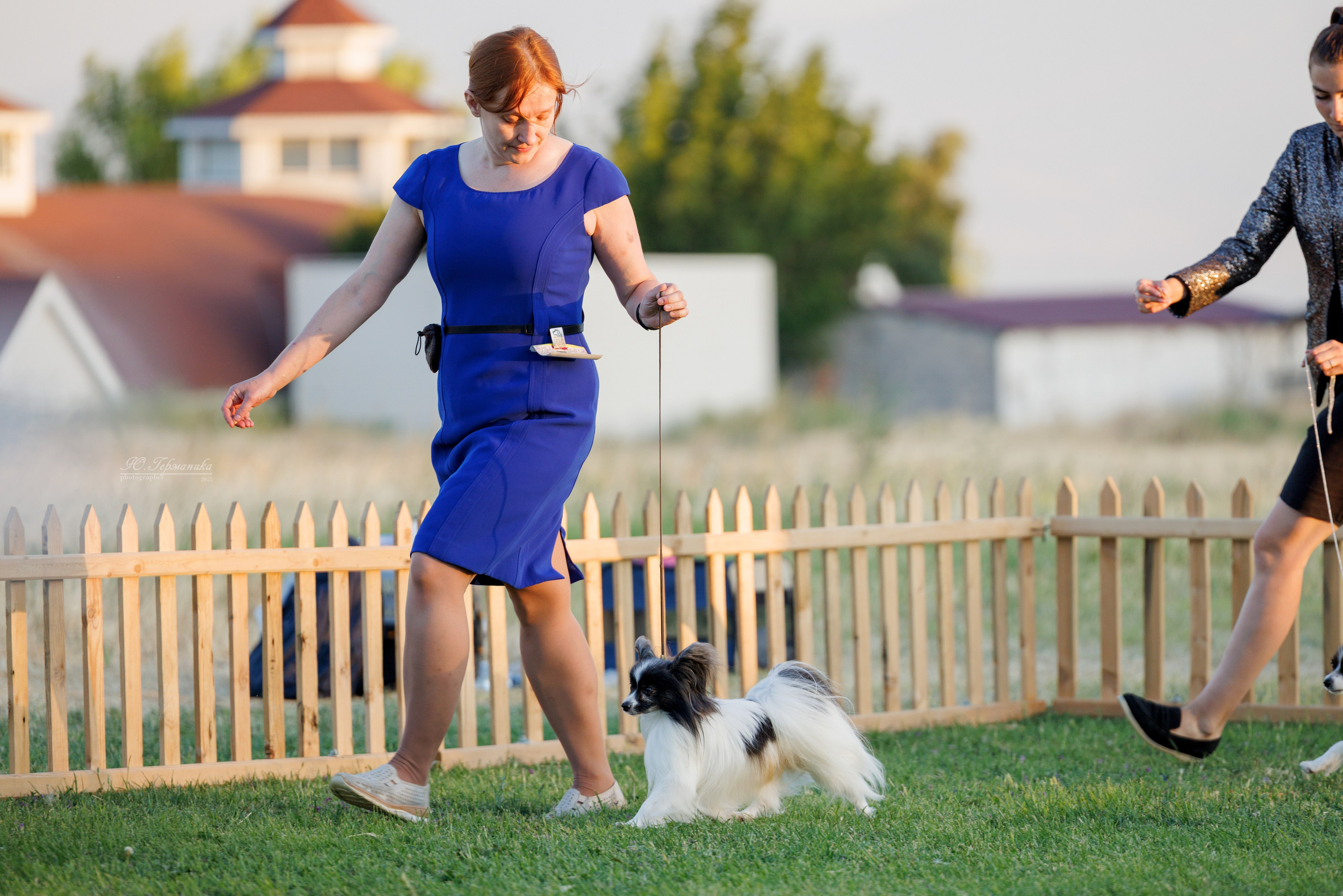 Ереван 3хCACIB 23-25.06.2025. Фотограф-анималист Юлия Германика