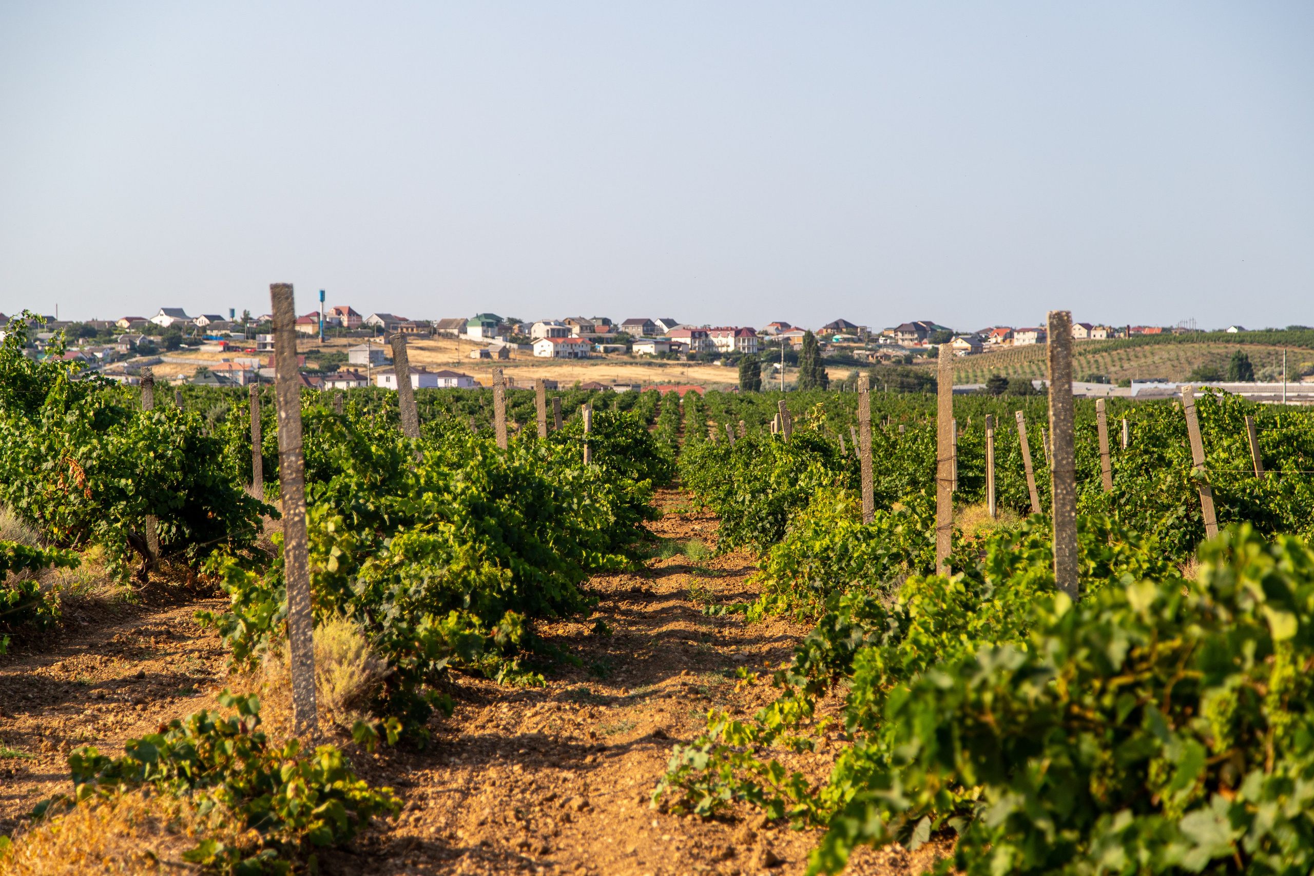 Фотографии природы Крыма из 2021 года. Море, холмы, закаты. Фотограф видеограф широкого профиля Денис Захаров