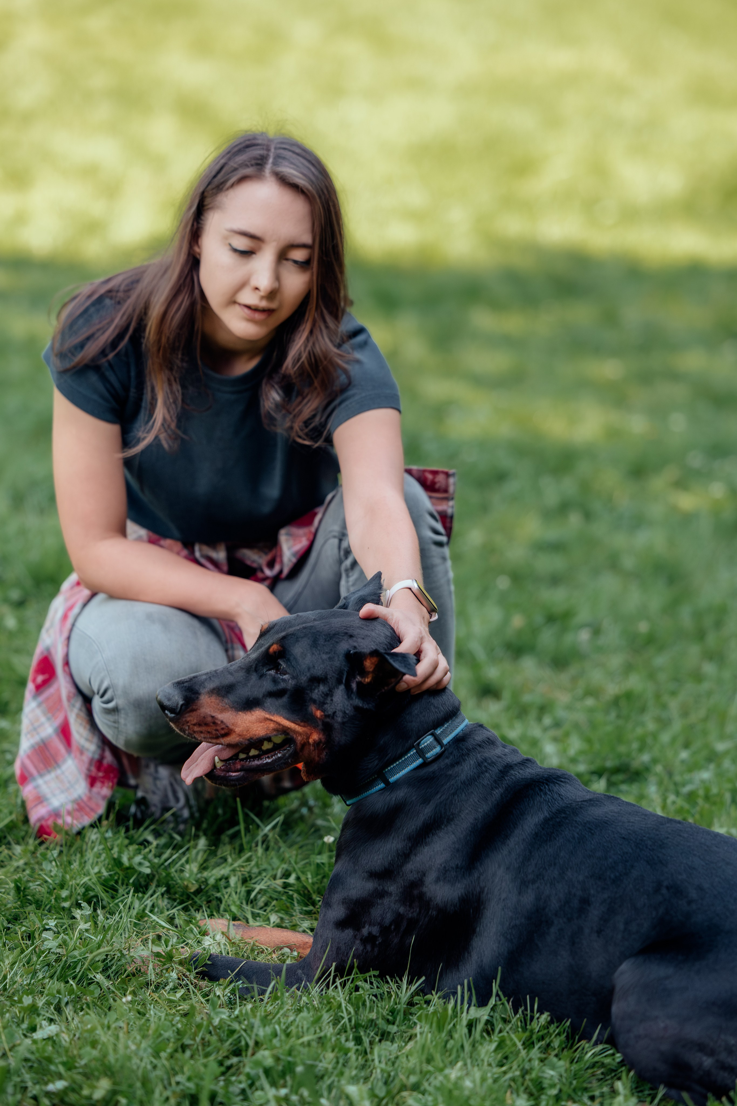 Доберман Айза. Фотограф Анималист в Москве Анастасия Жучкова