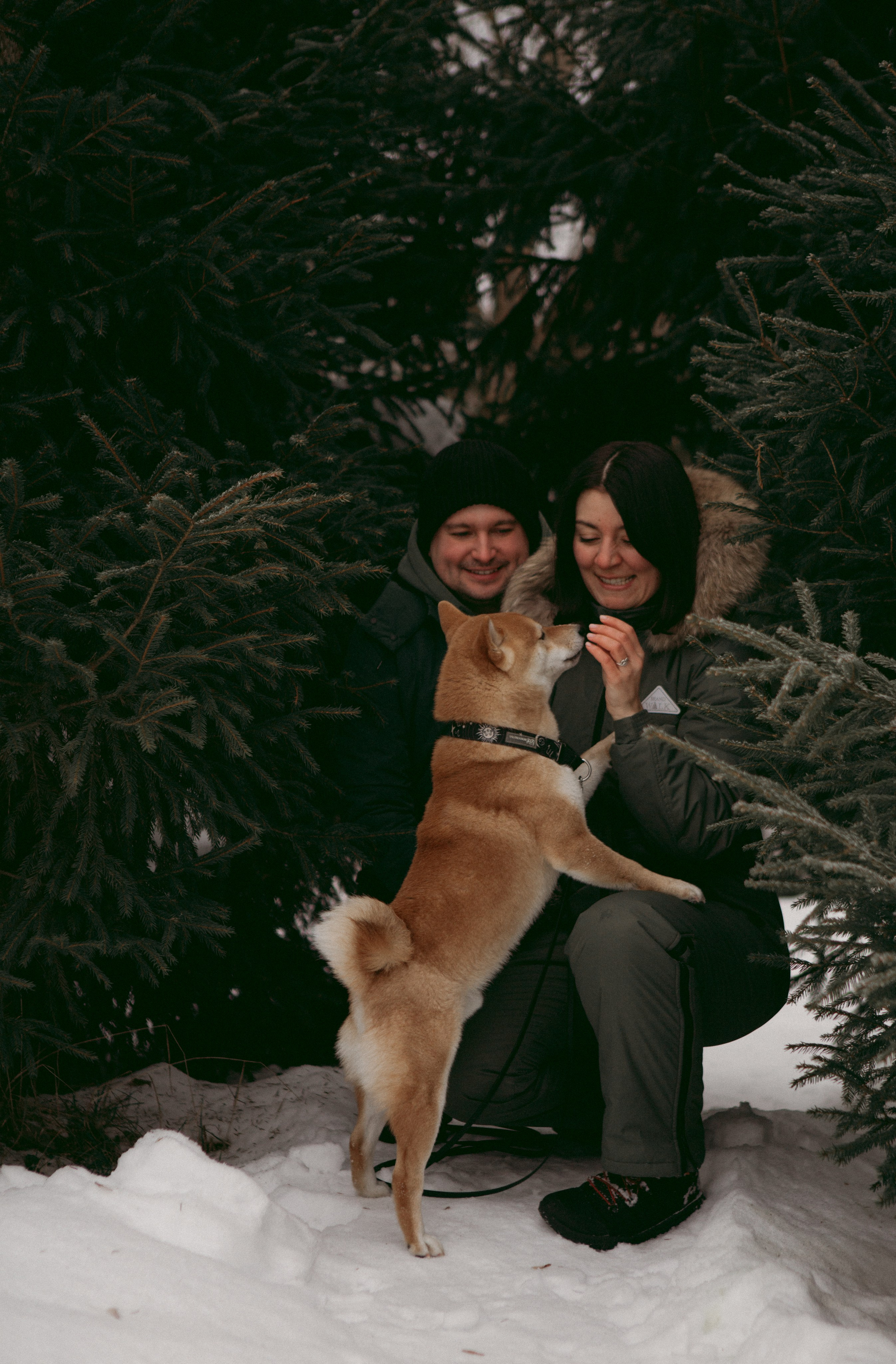 Katya, Dima, Rokki. Portrait, family and pet photographer in Cyprus, Ksenia Bourdelle