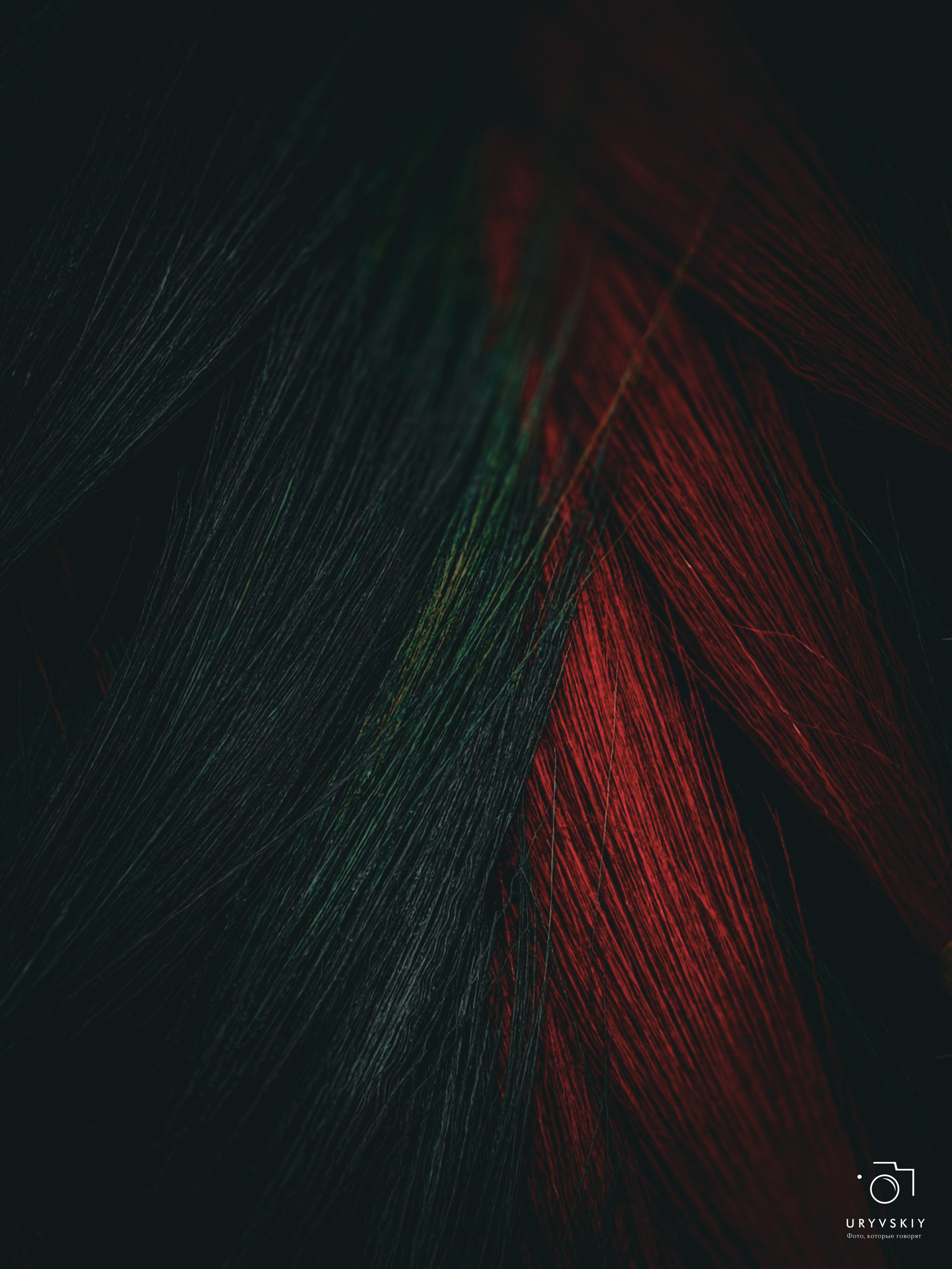 Bellini Осенний маркет. Игорь Урывский. Фотограф Красноярск