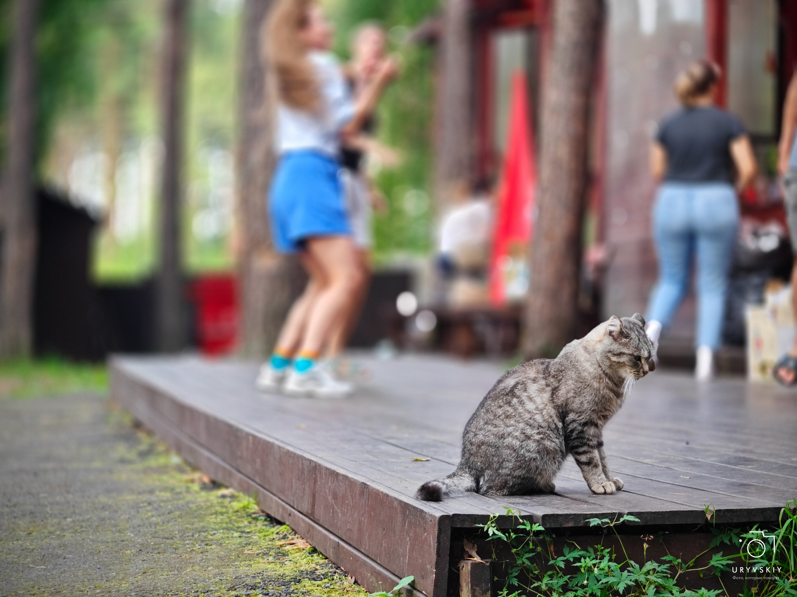 Командор, Хороший. День торговли 2025. Игорь Урывский. Фотограф Красноярск