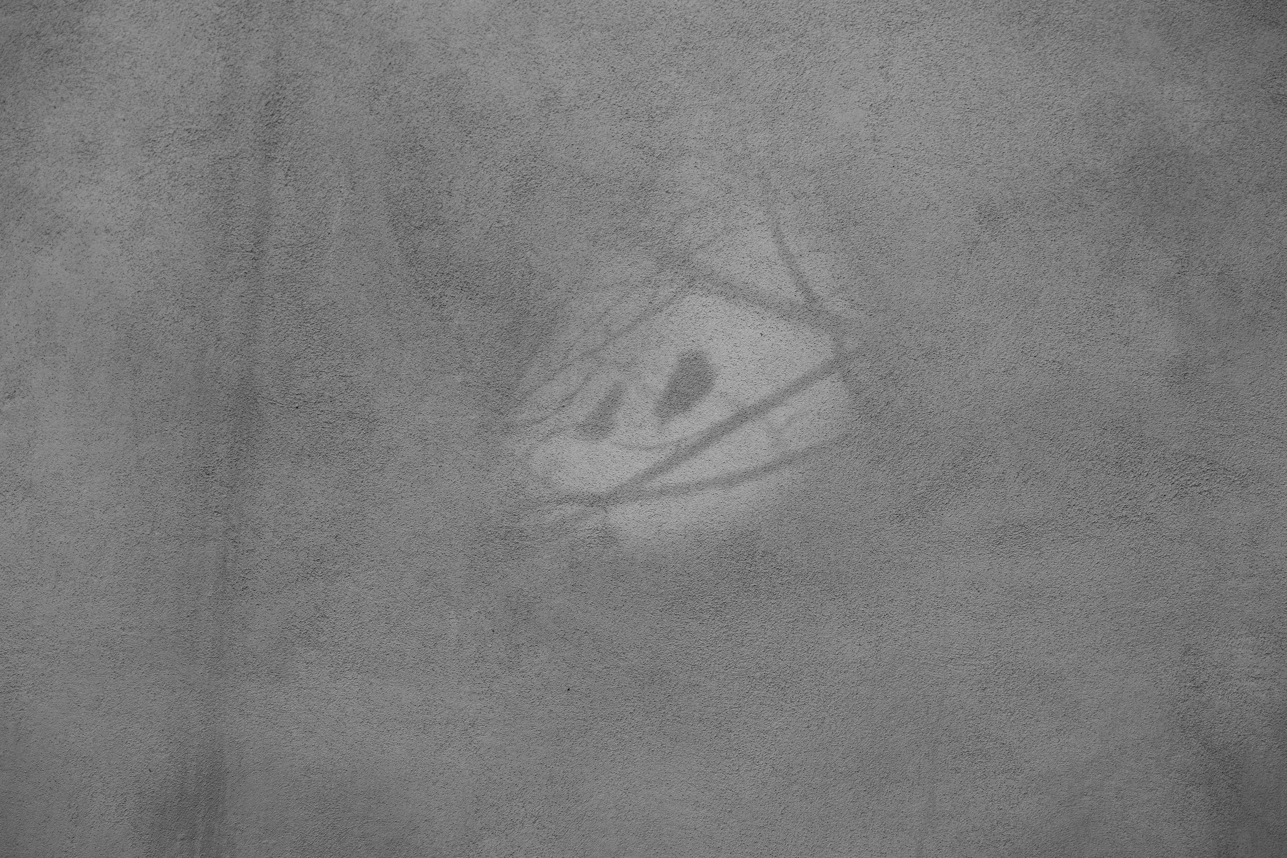 Art prints. Фотограф алина стерхова, алина стерхова фотограф, фотограф москва