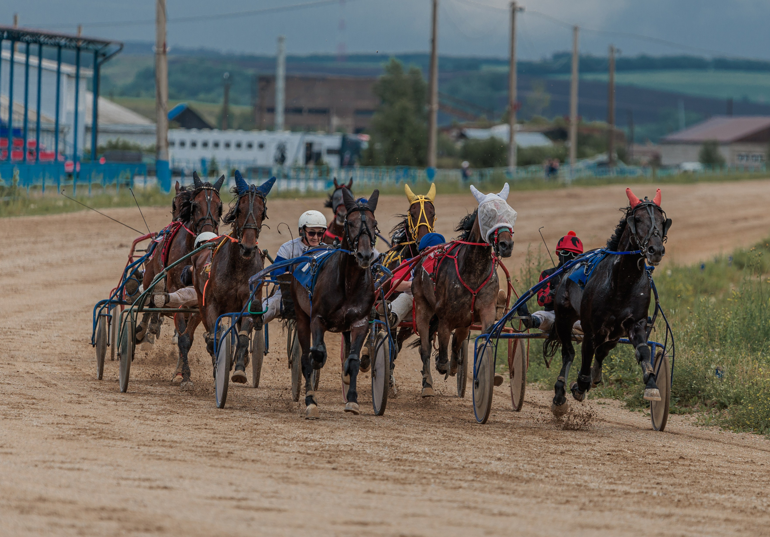 2025. Конный фотограф в Красноярске — Любовь Похабова