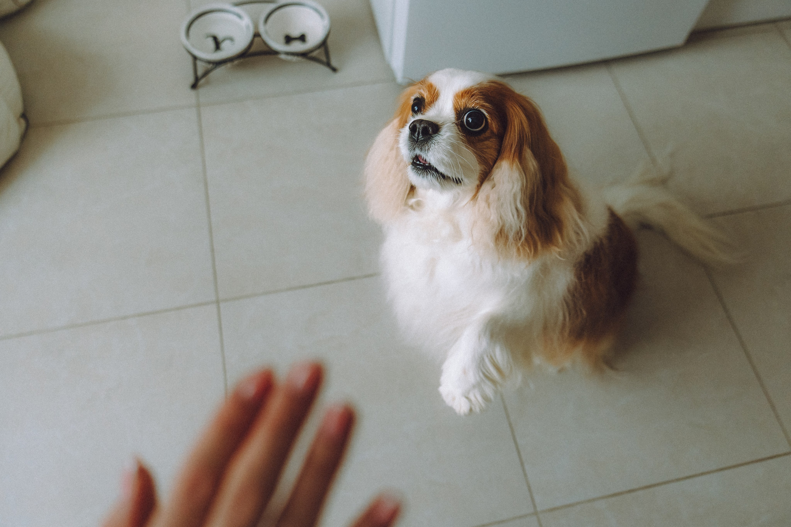 Наташа и Вики