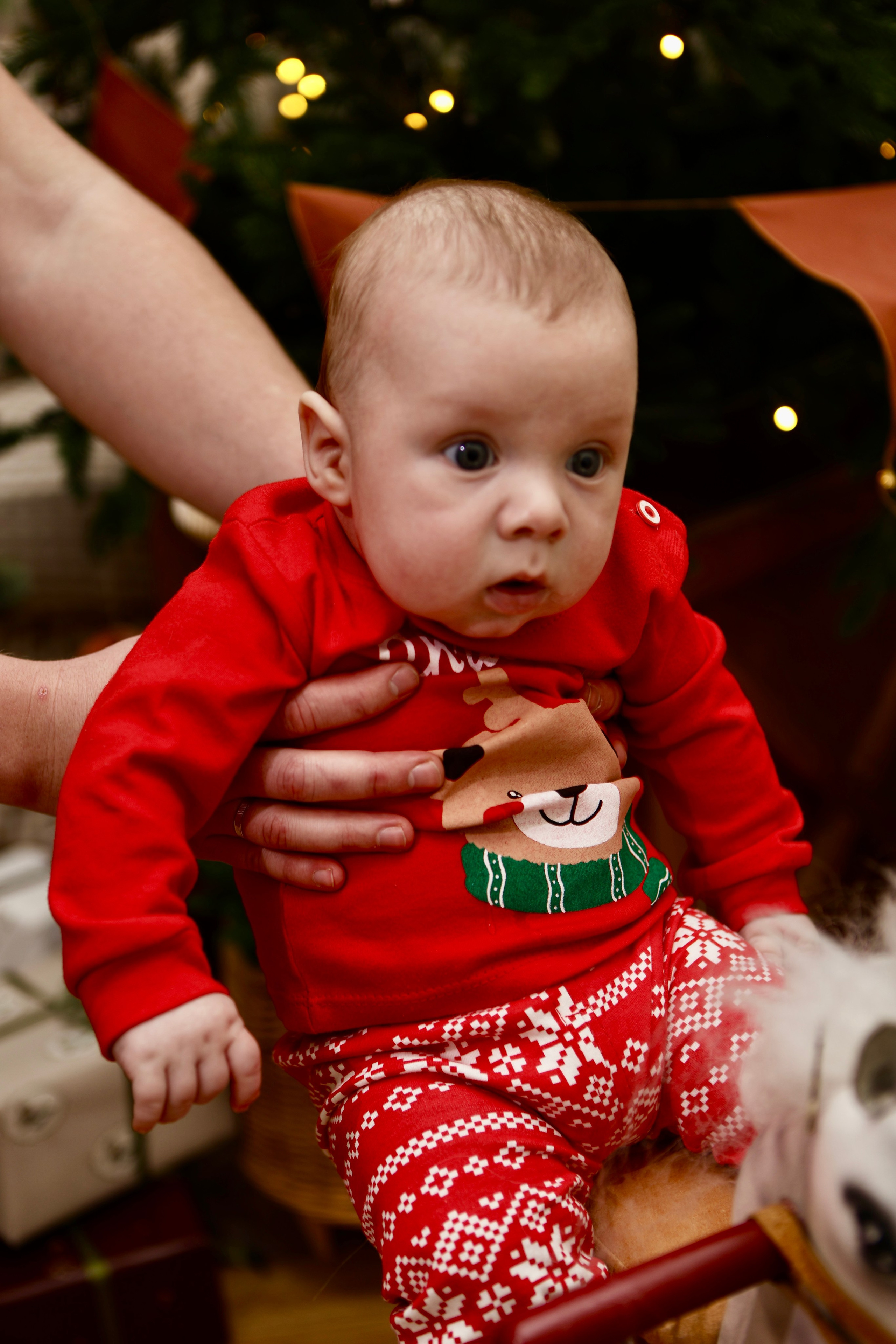 Яна Максим и Миша. Фотограф в Курске Смирнов Евгений