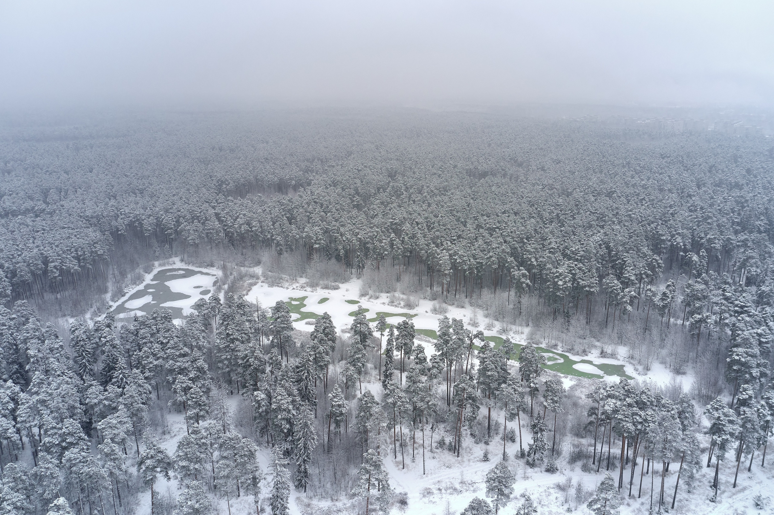Аэросъемка. Свадебный и семейный фотограф в г. Орехово-Зуево Андрей Козлов