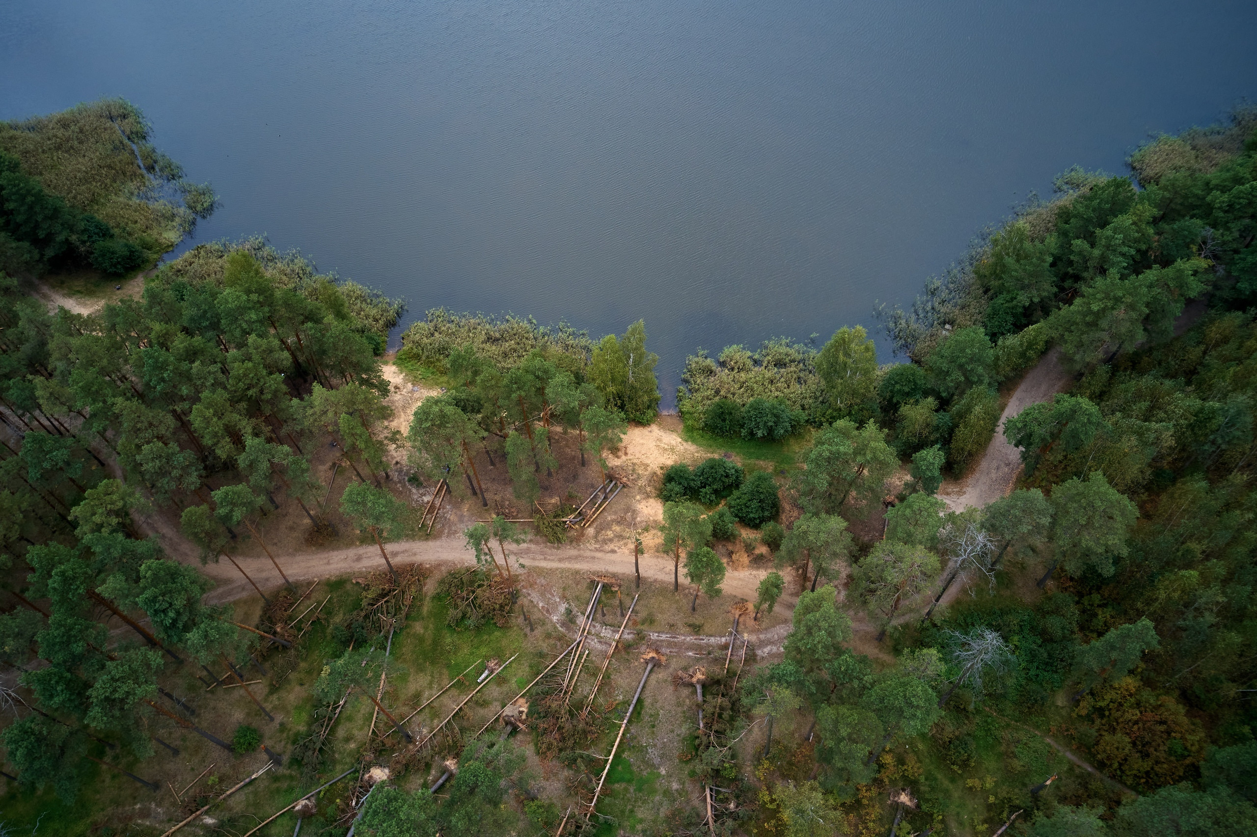 Аэросъемка. Свадебный и семейный фотограф в г. Орехово-Зуево Андрей Козлов