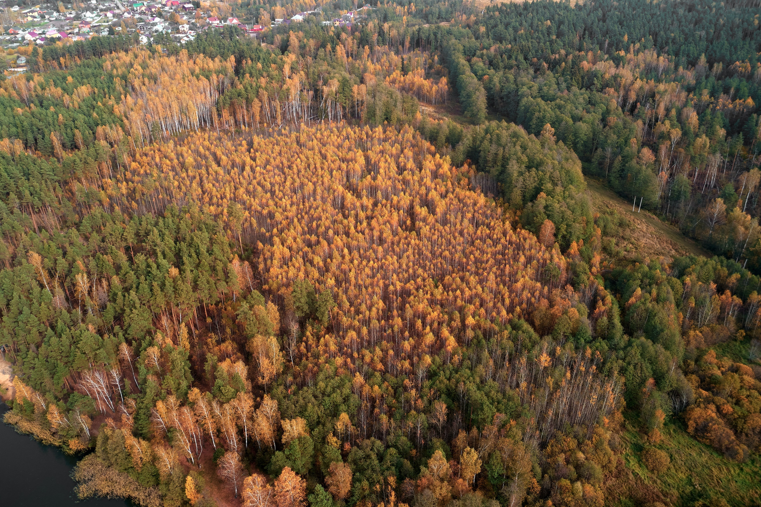 Аэросъемка. Свадебный и семейный фотограф в г. Орехово-Зуево Андрей Козлов