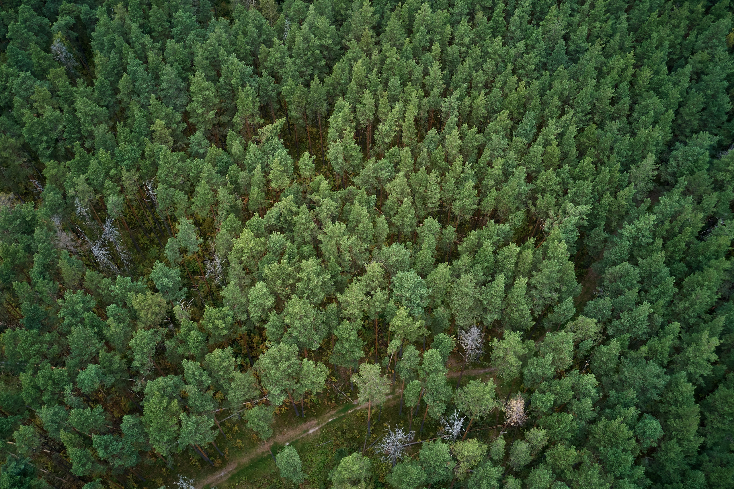 Аэросъемка. Свадебный и семейный фотограф в г. Орехово-Зуево Андрей Козлов