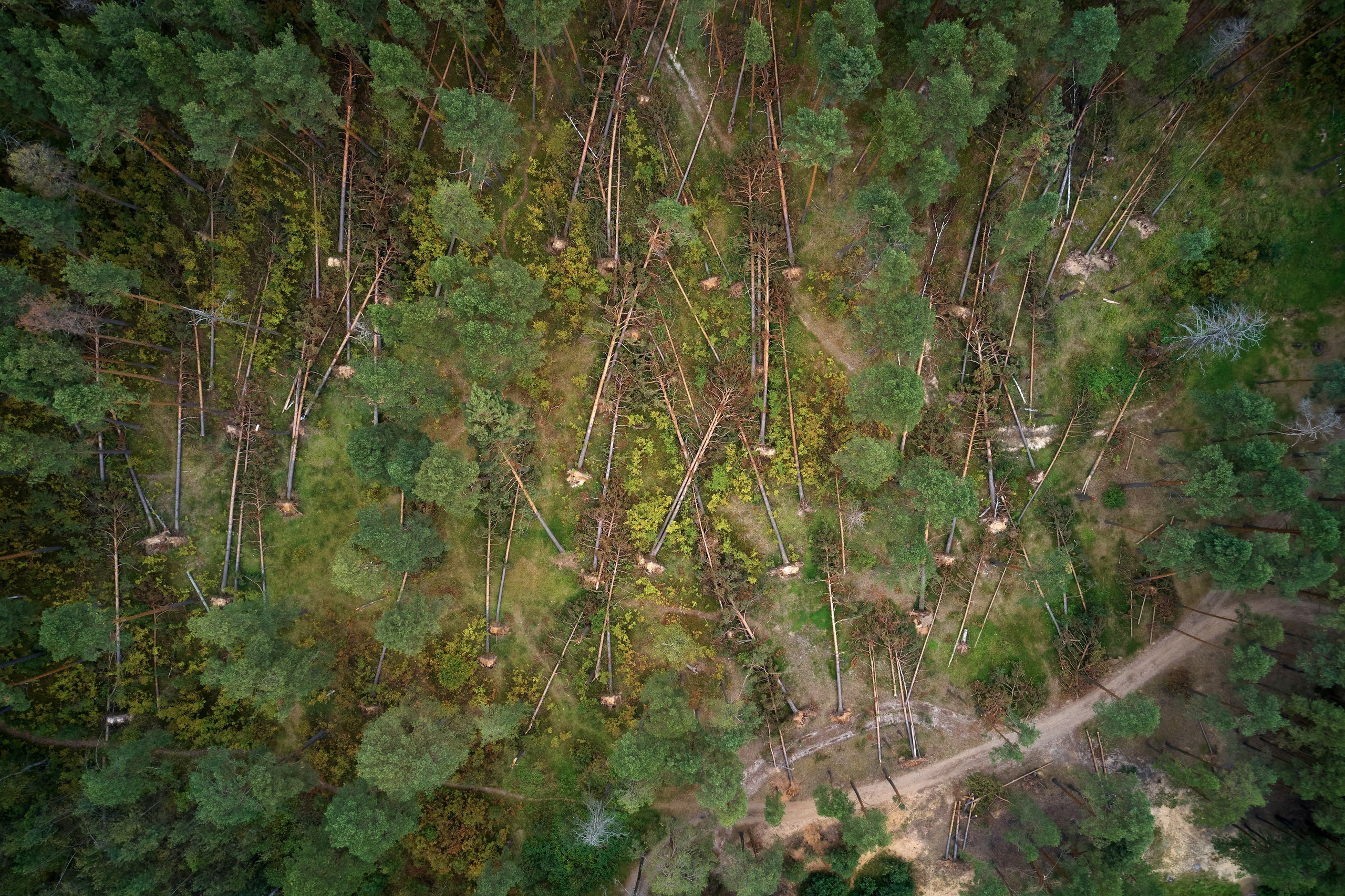 Аэросъемка. Свадебный и семейный фотограф в г. Орехово-Зуево Андрей Козлов