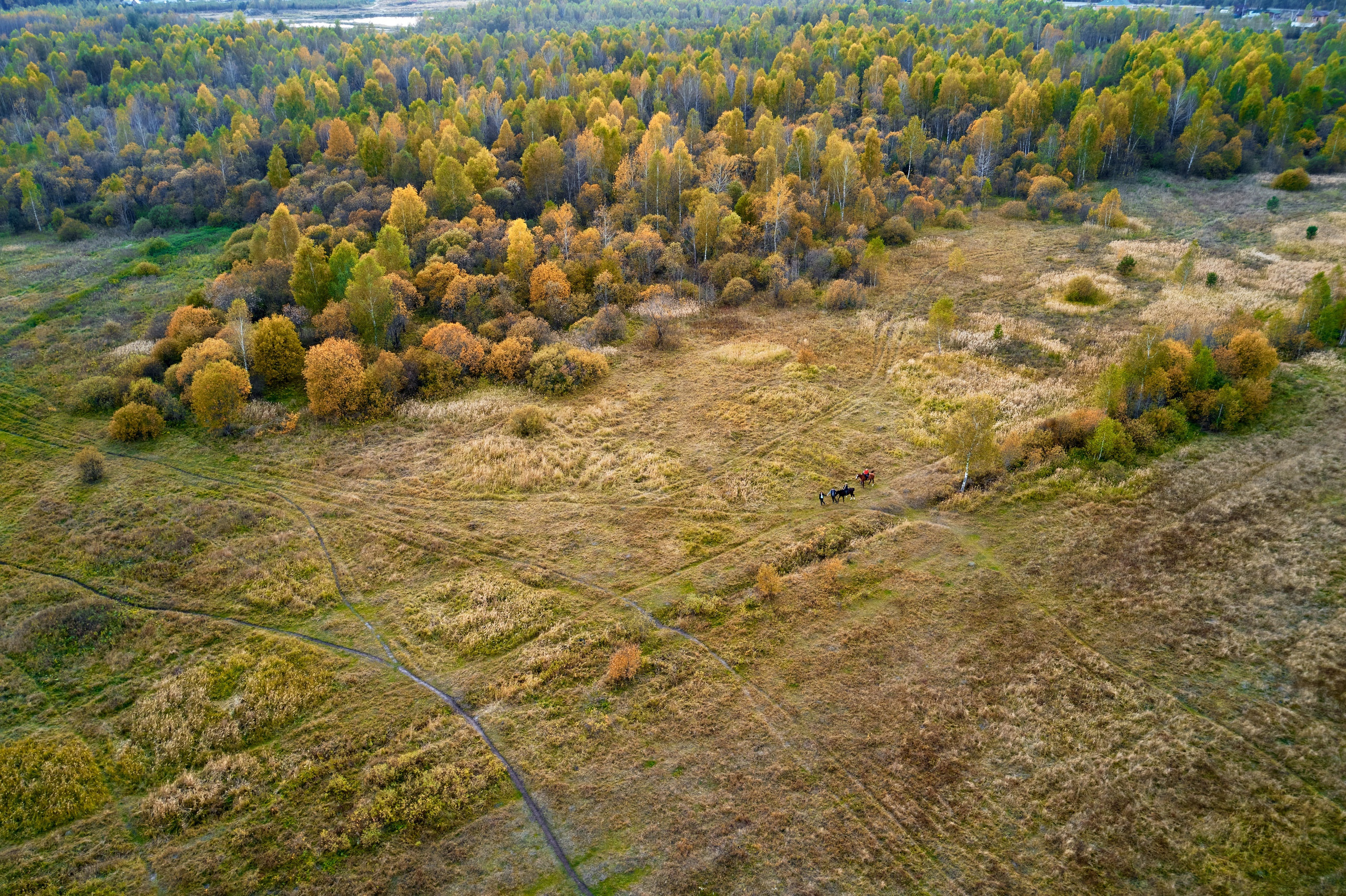 Аэросъемка. Свадебный и семейный фотограф в г. Орехово-Зуево Андрей Козлов