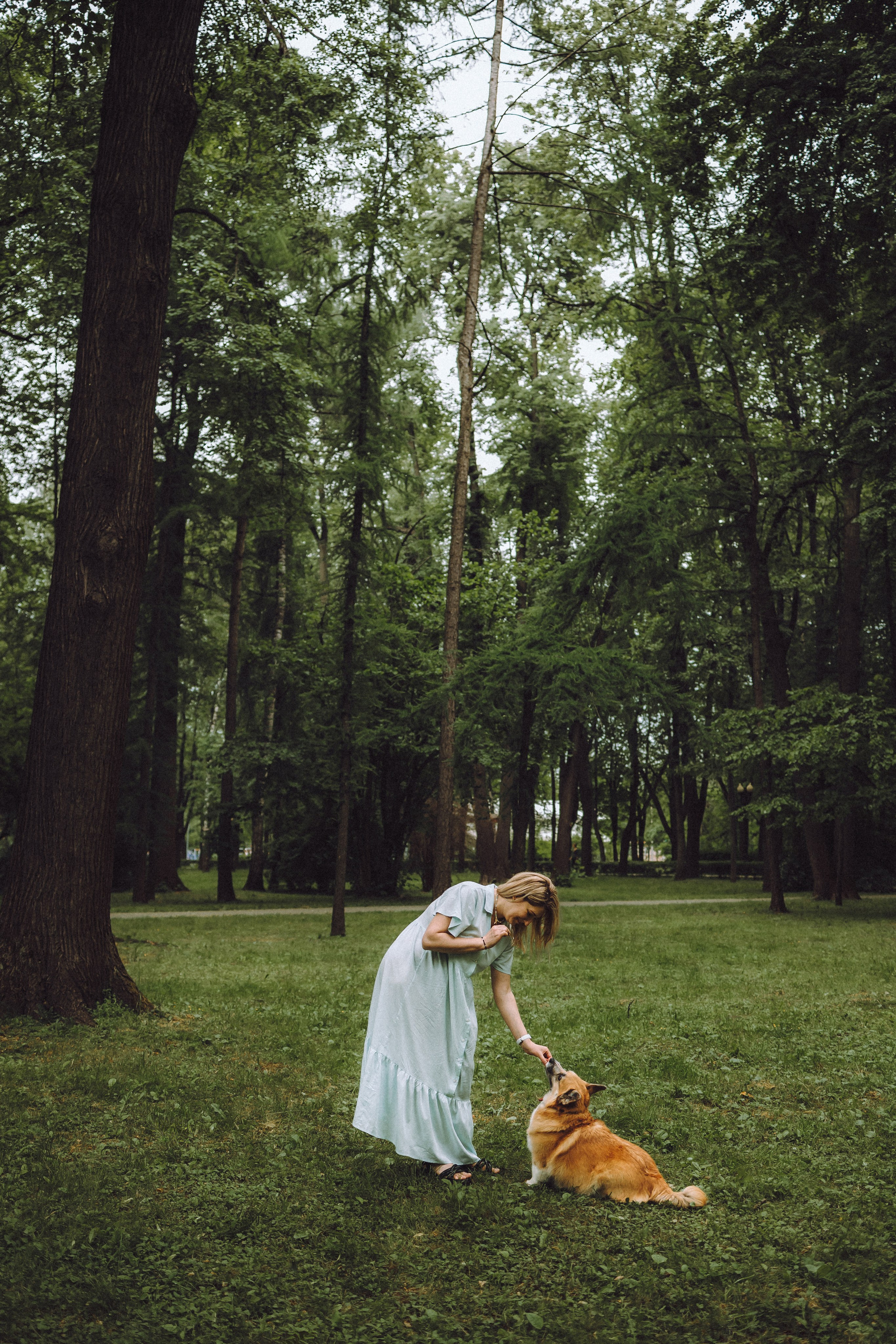 Ира, Леша и Харли