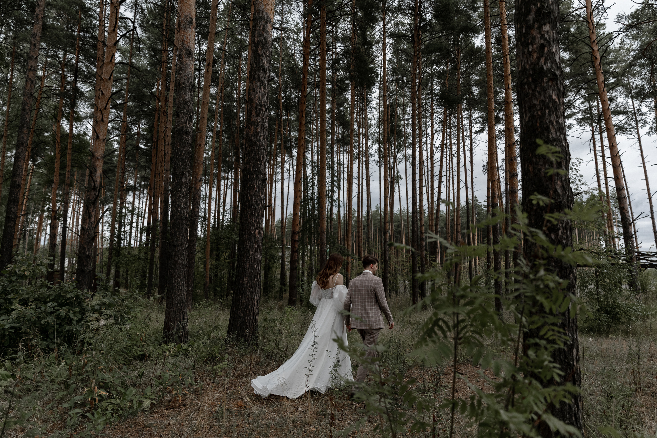 Мопс на торте. Свадебный фотограф Ярославль, Рыбинск