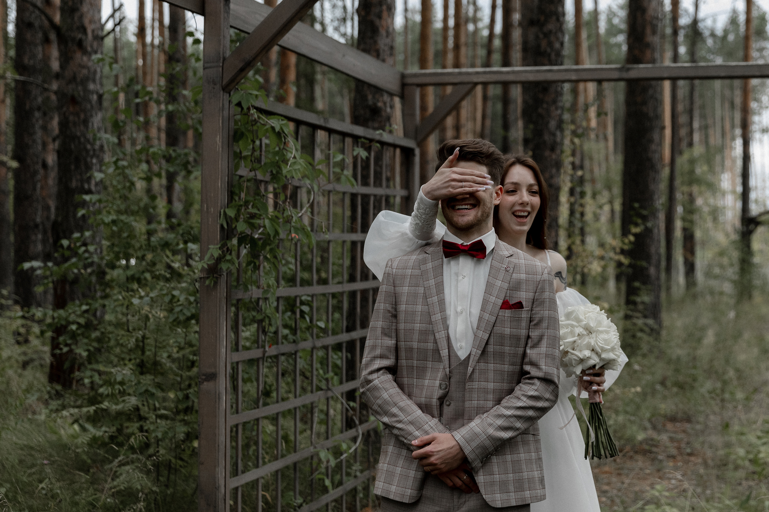 Мопс на торте. Свадебный фотограф Ярославль, Рыбинск