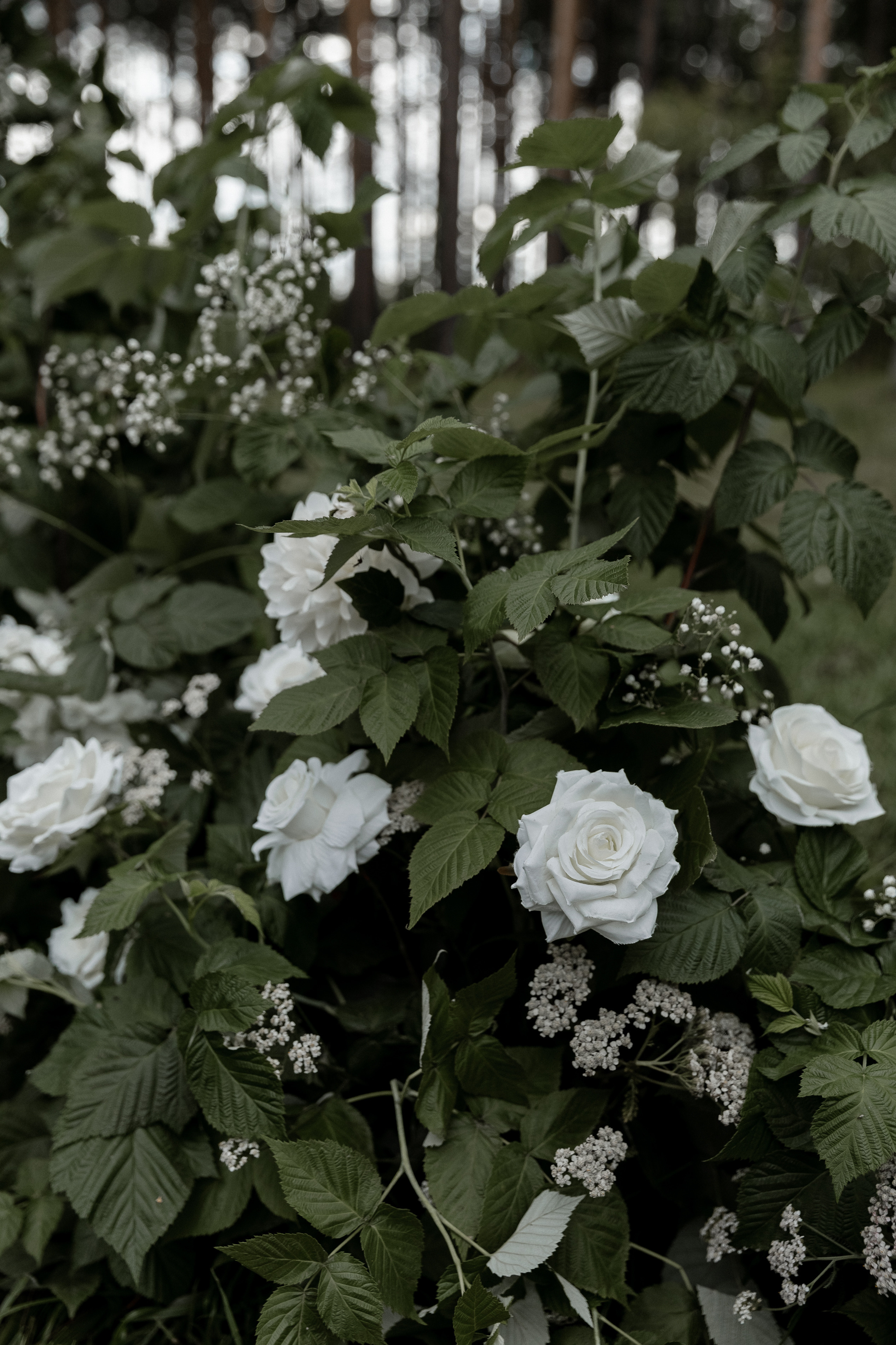Мопс на торте. Свадебный фотограф Ярославль, Рыбинск