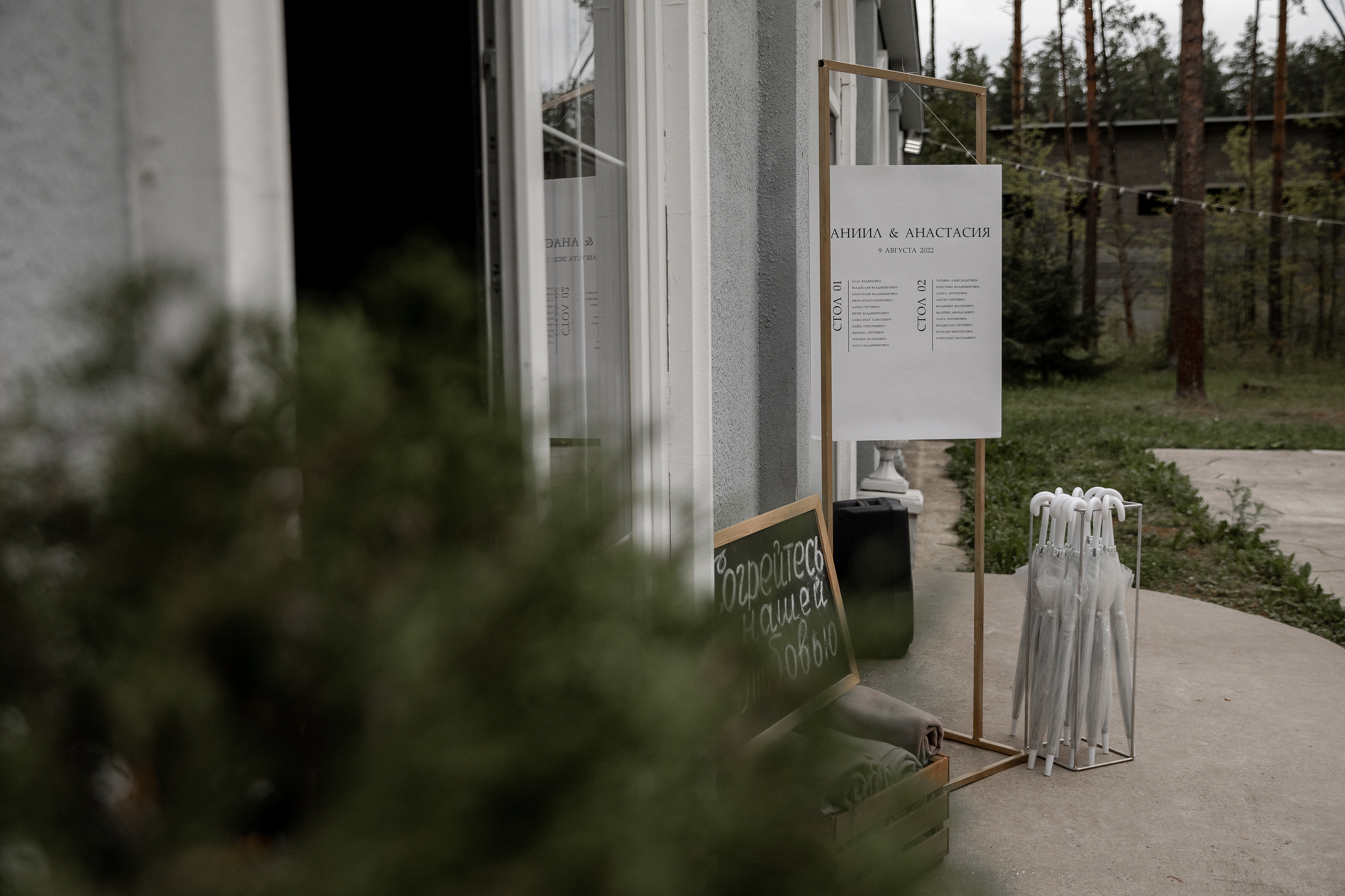 Мопс на торте. Свадебный фотограф Ярославль, Рыбинск